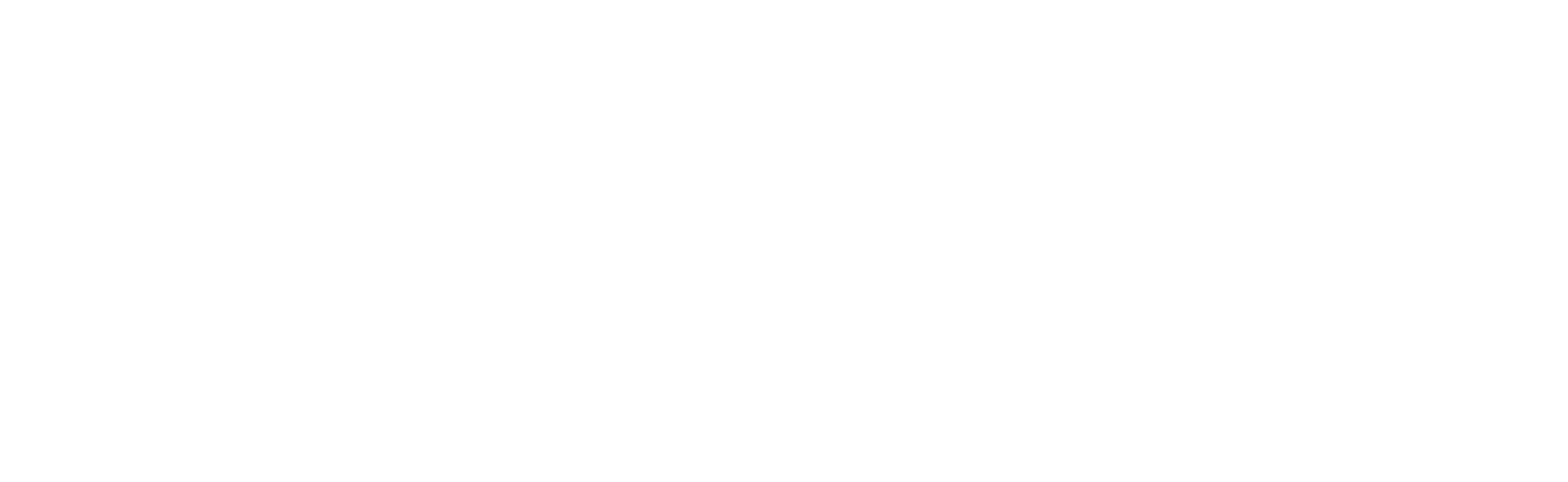 시골에 간 도시 Z