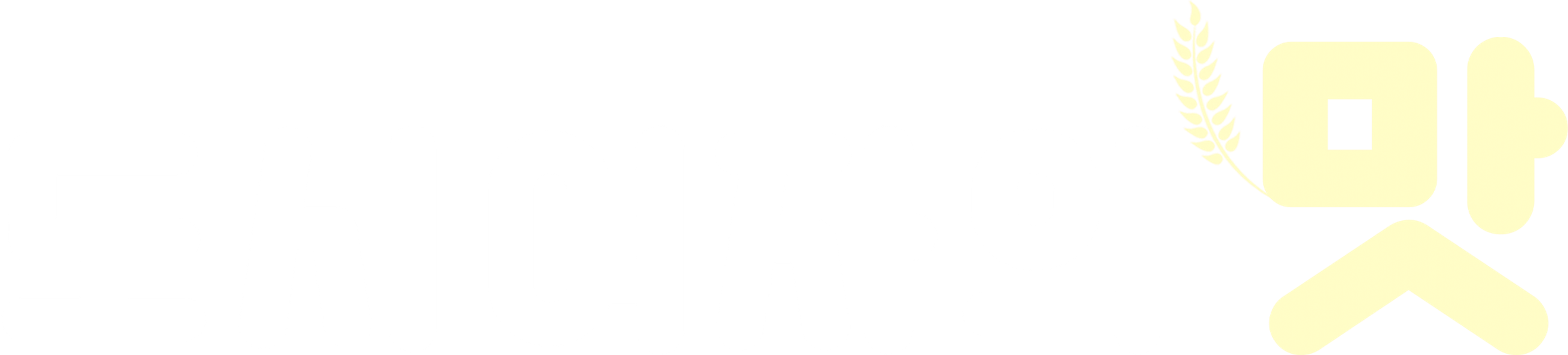 도시 여자의 맛