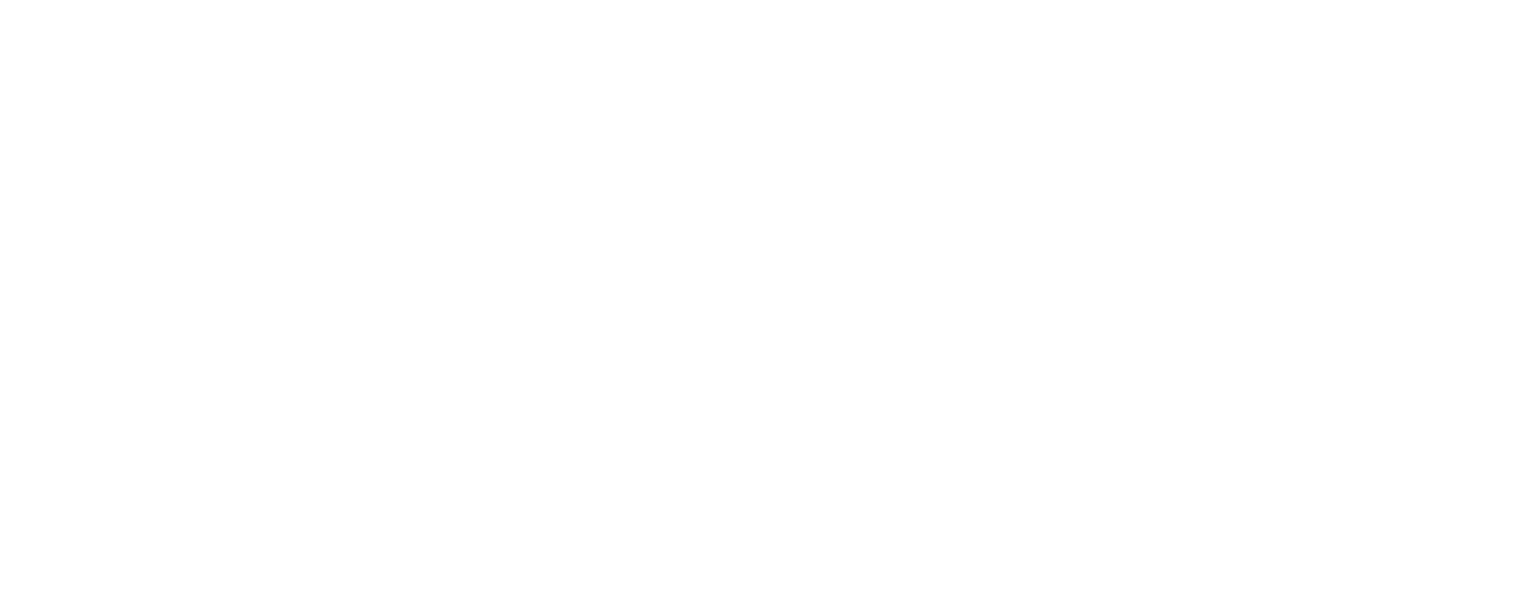 시주령
