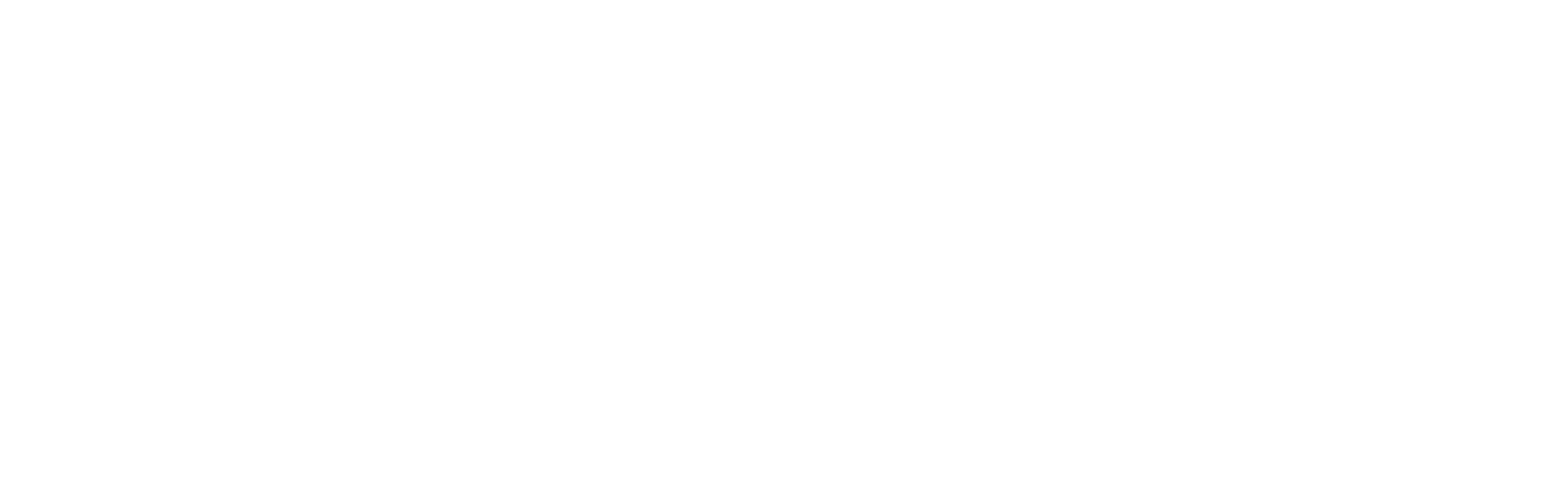 바람 (감독판)