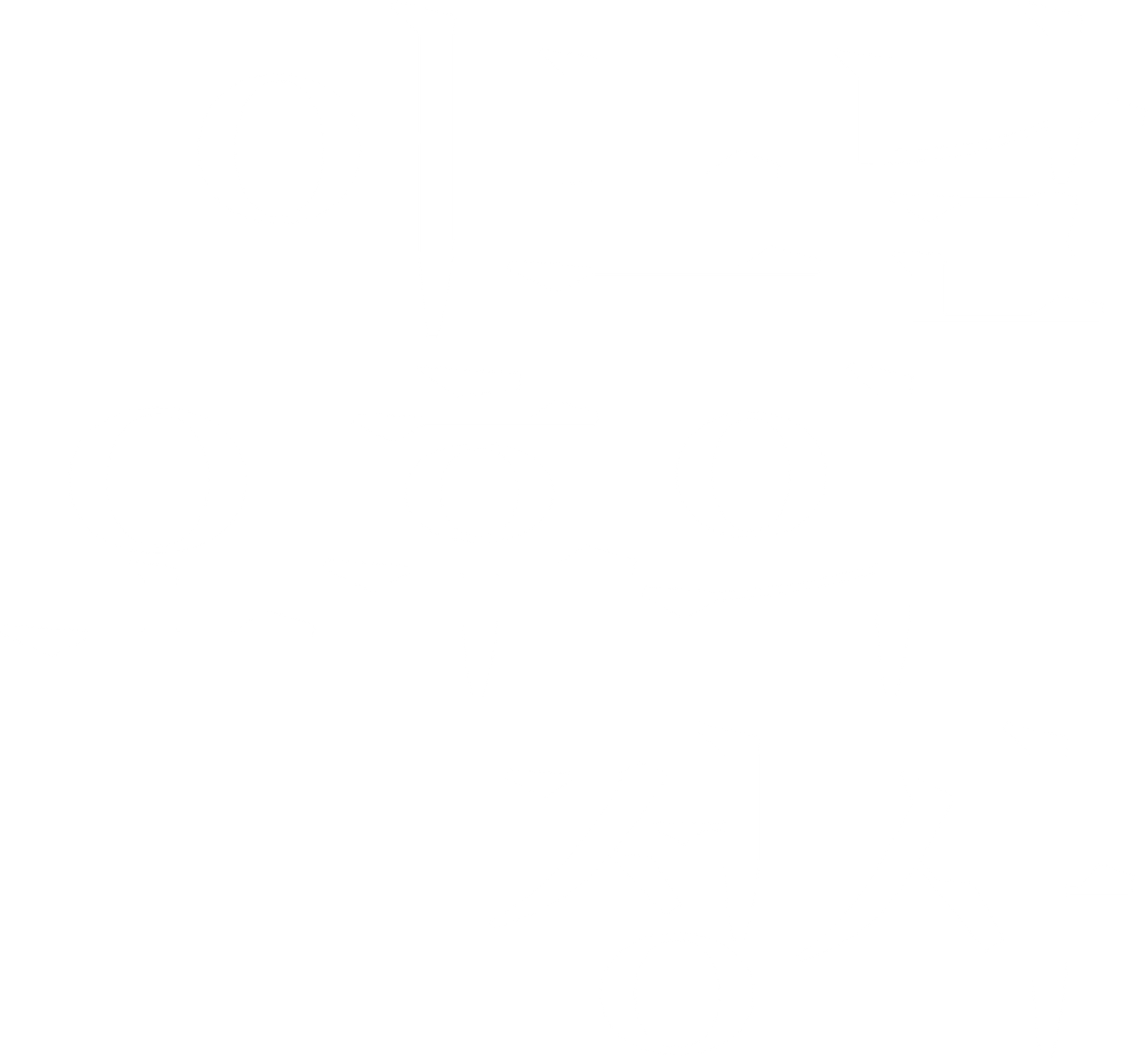 어느날 오후의 정사