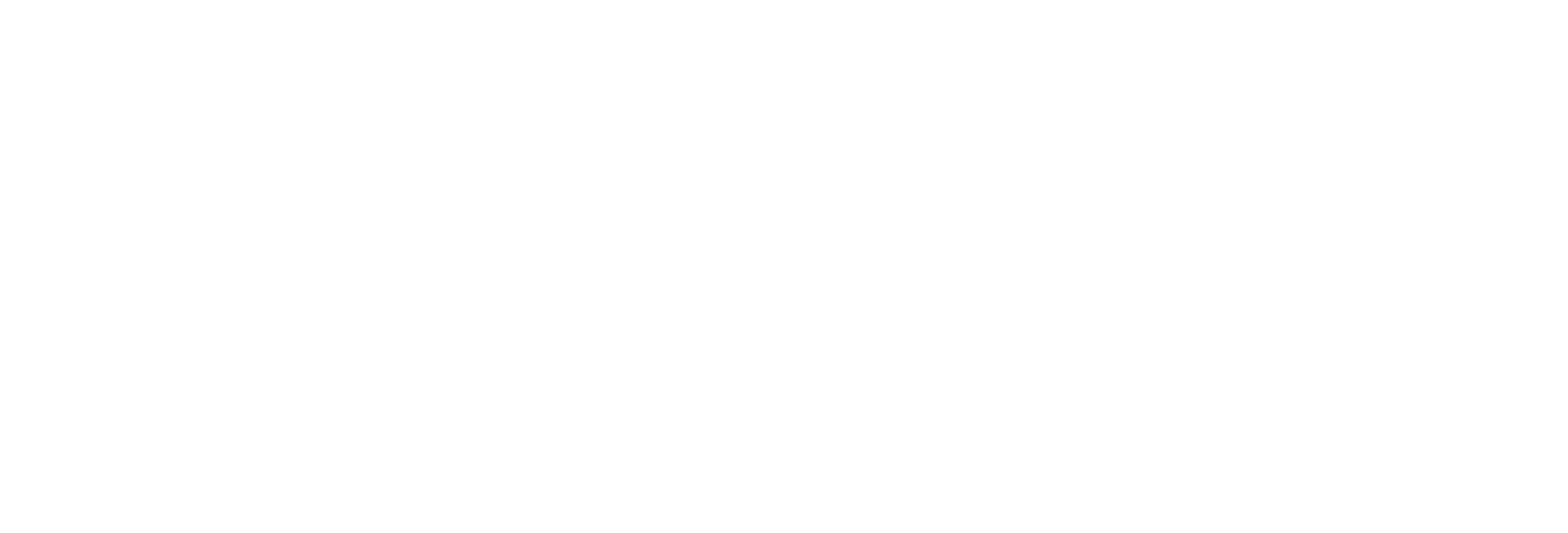 팔로우 미