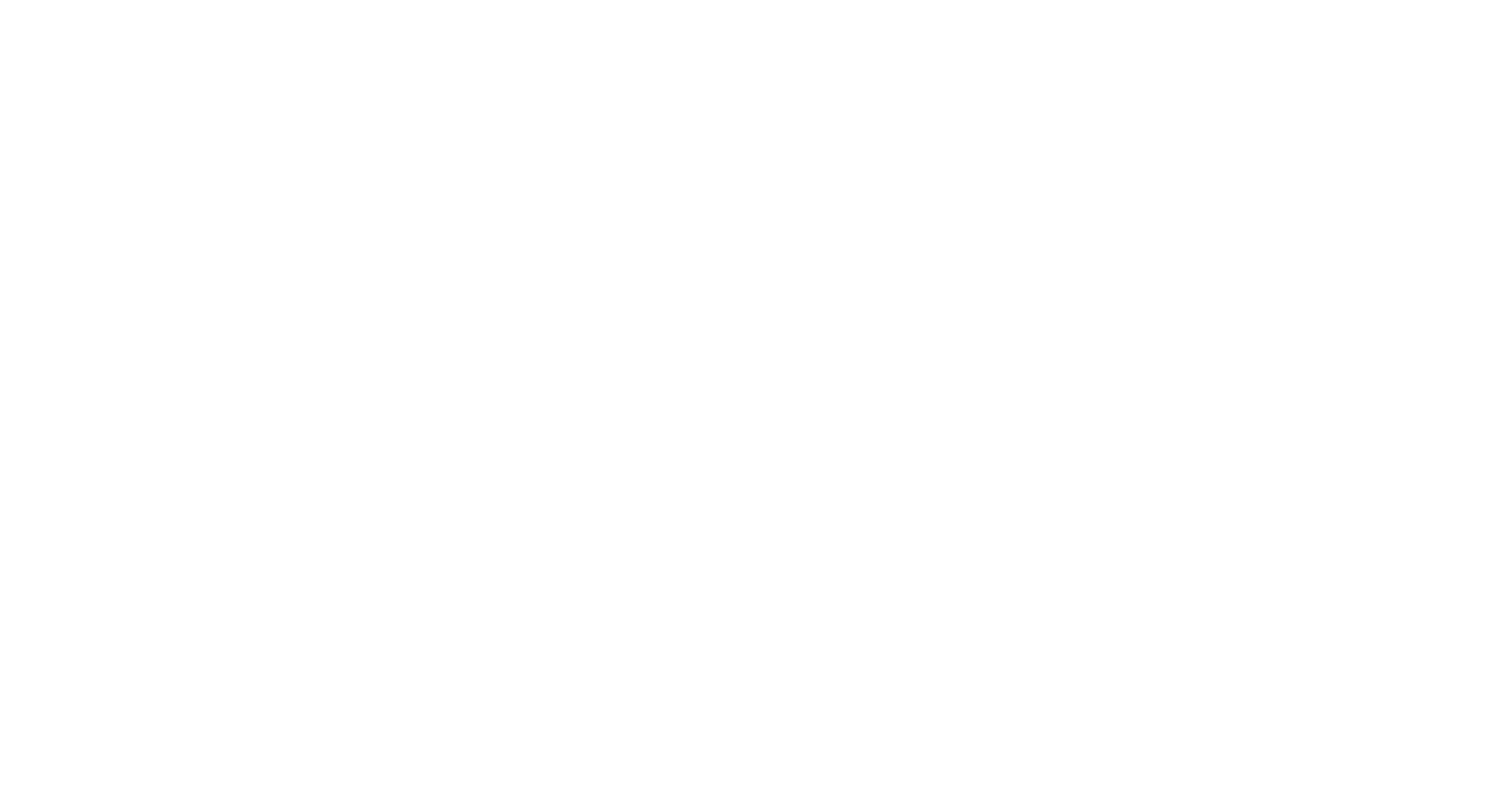 무법자: 대결투