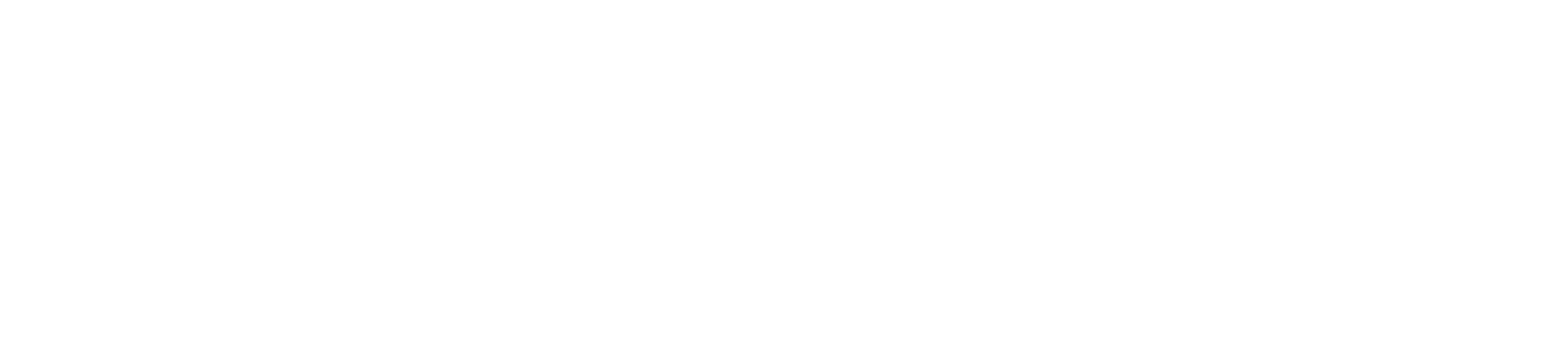 친위대 3