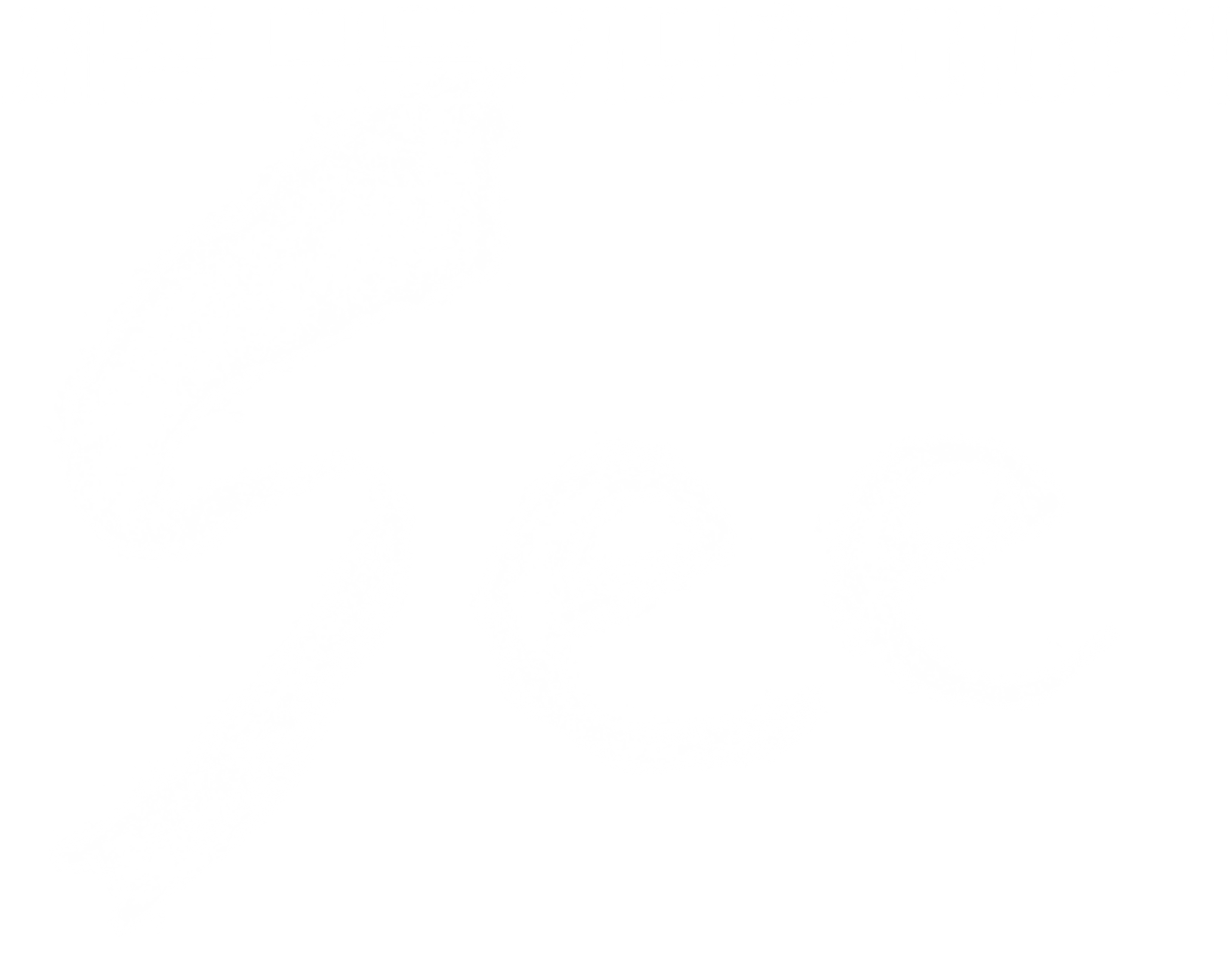 세상의 모든 기묘한 이야기 SEE