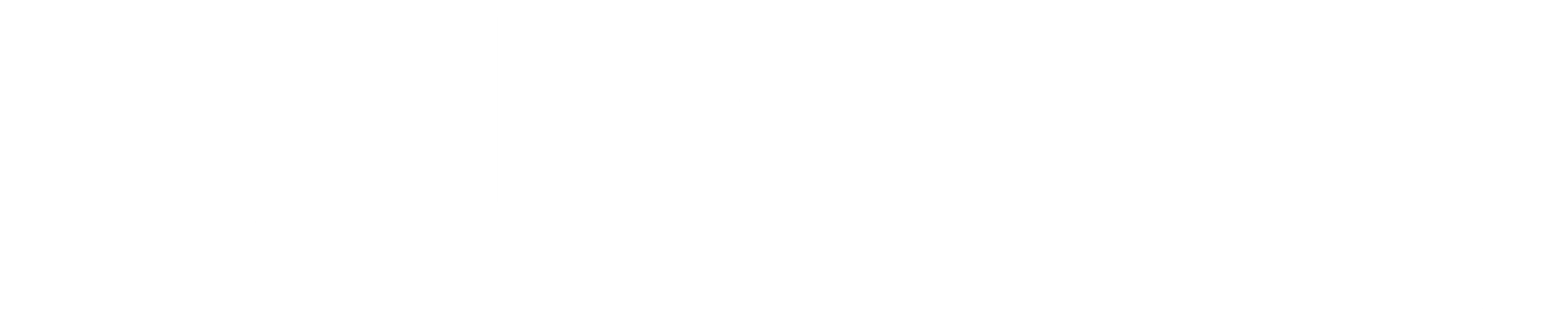원한의 정사