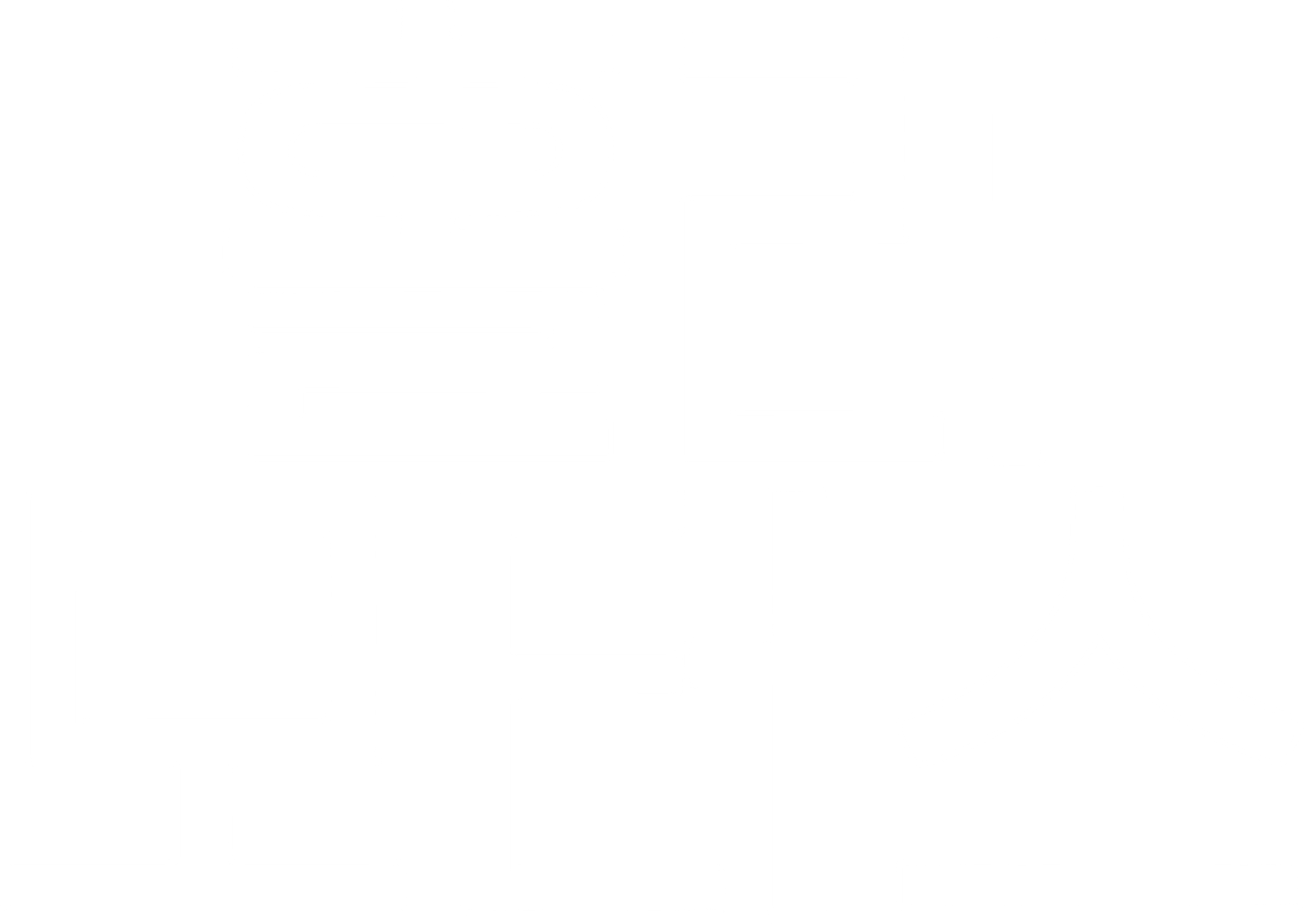 홀리 모터스