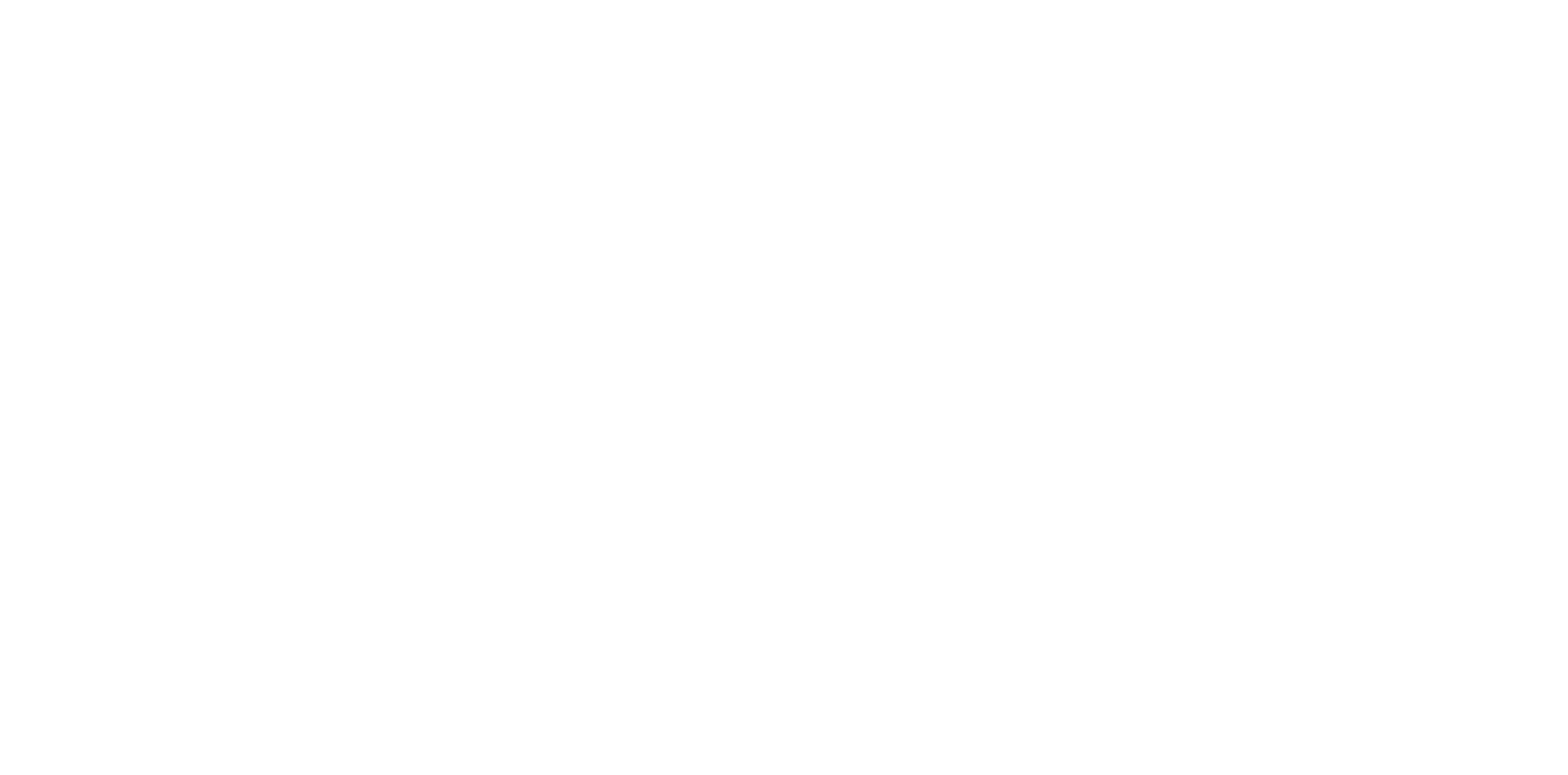 노이즈
