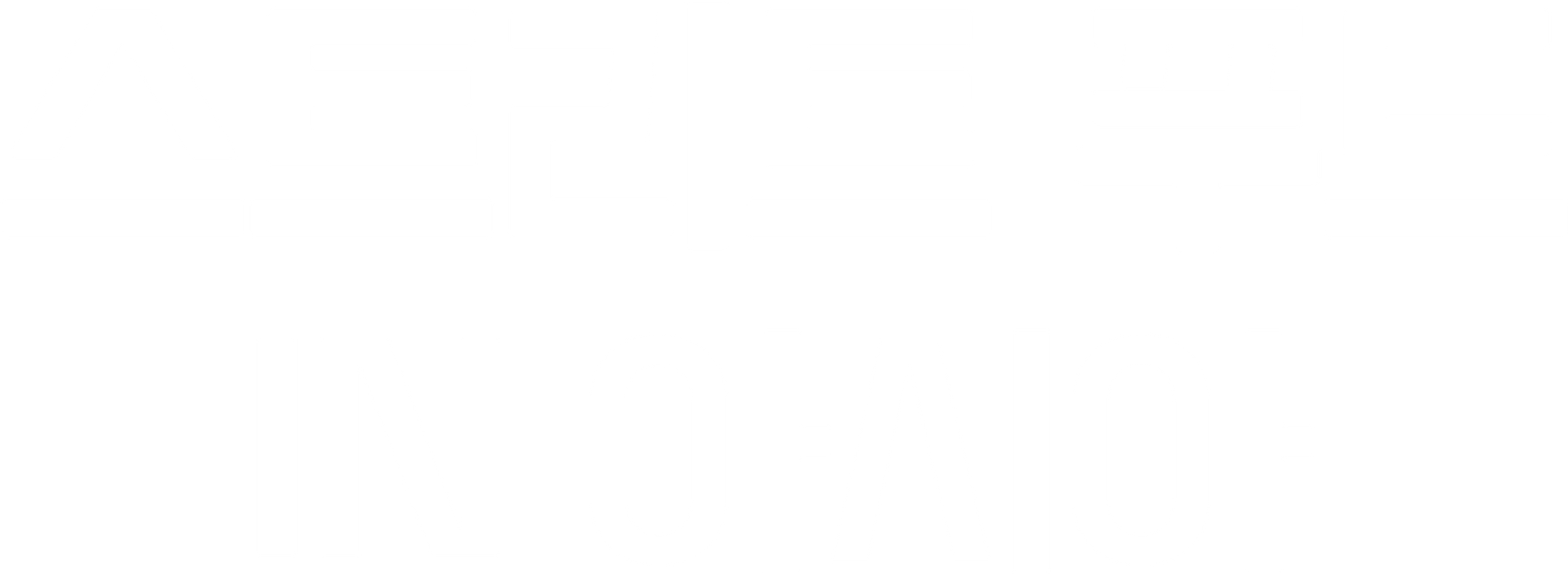 스트리트 푸드 IN 아시아