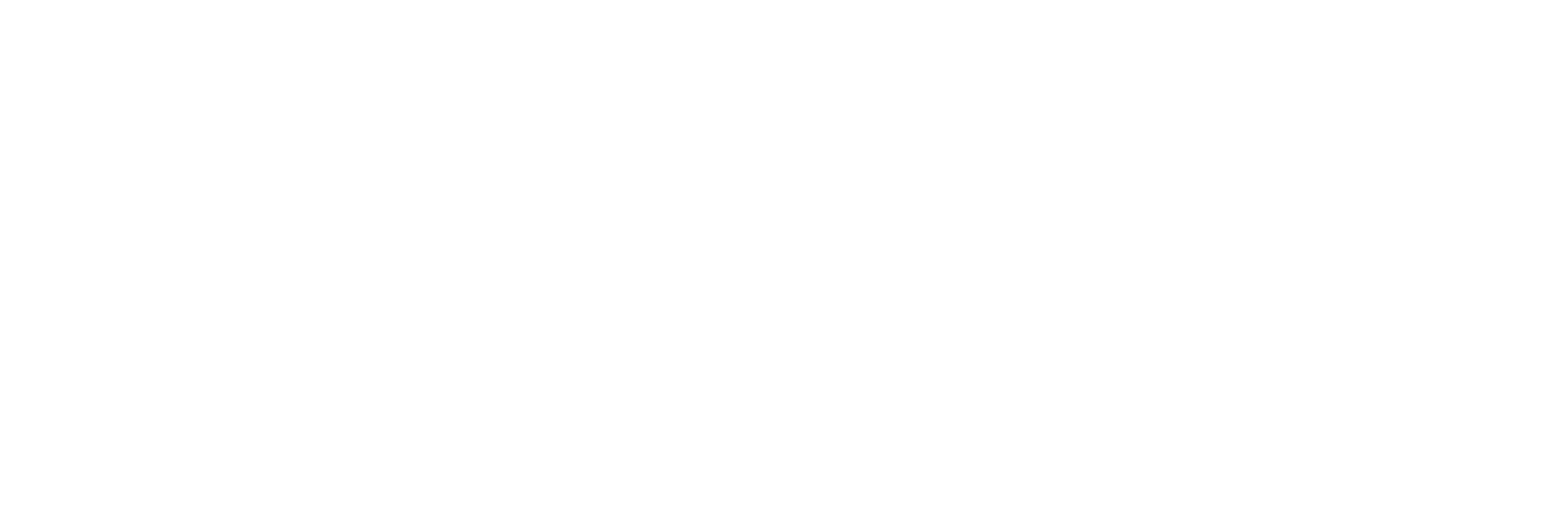 피아니스트 이고르 레빗