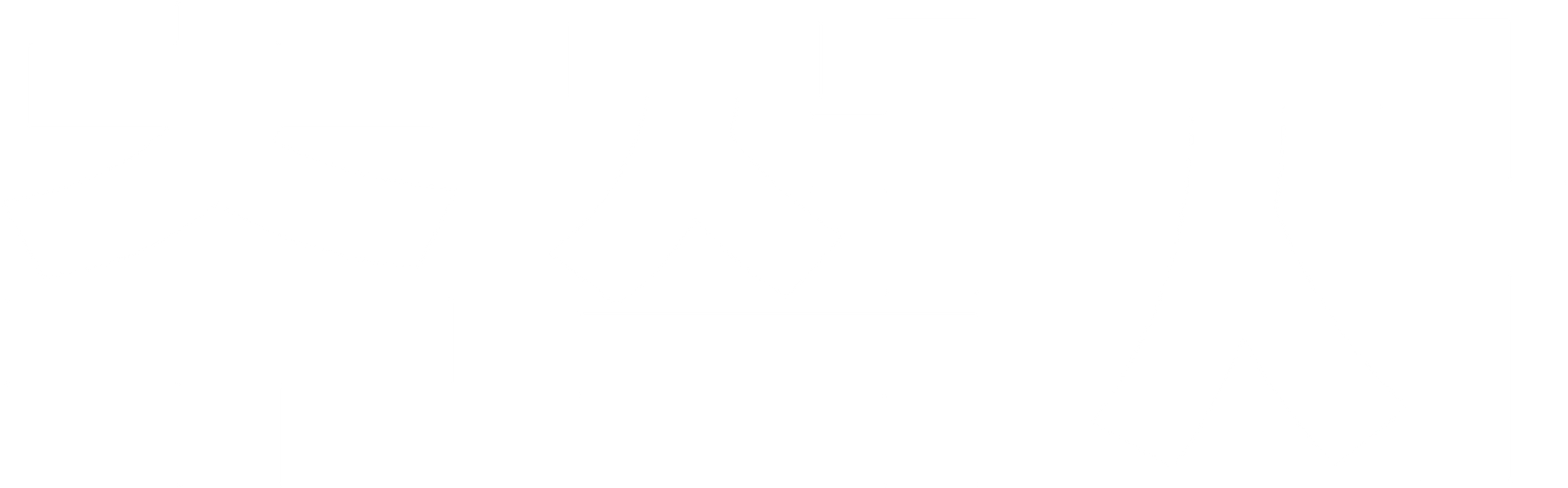 추적자