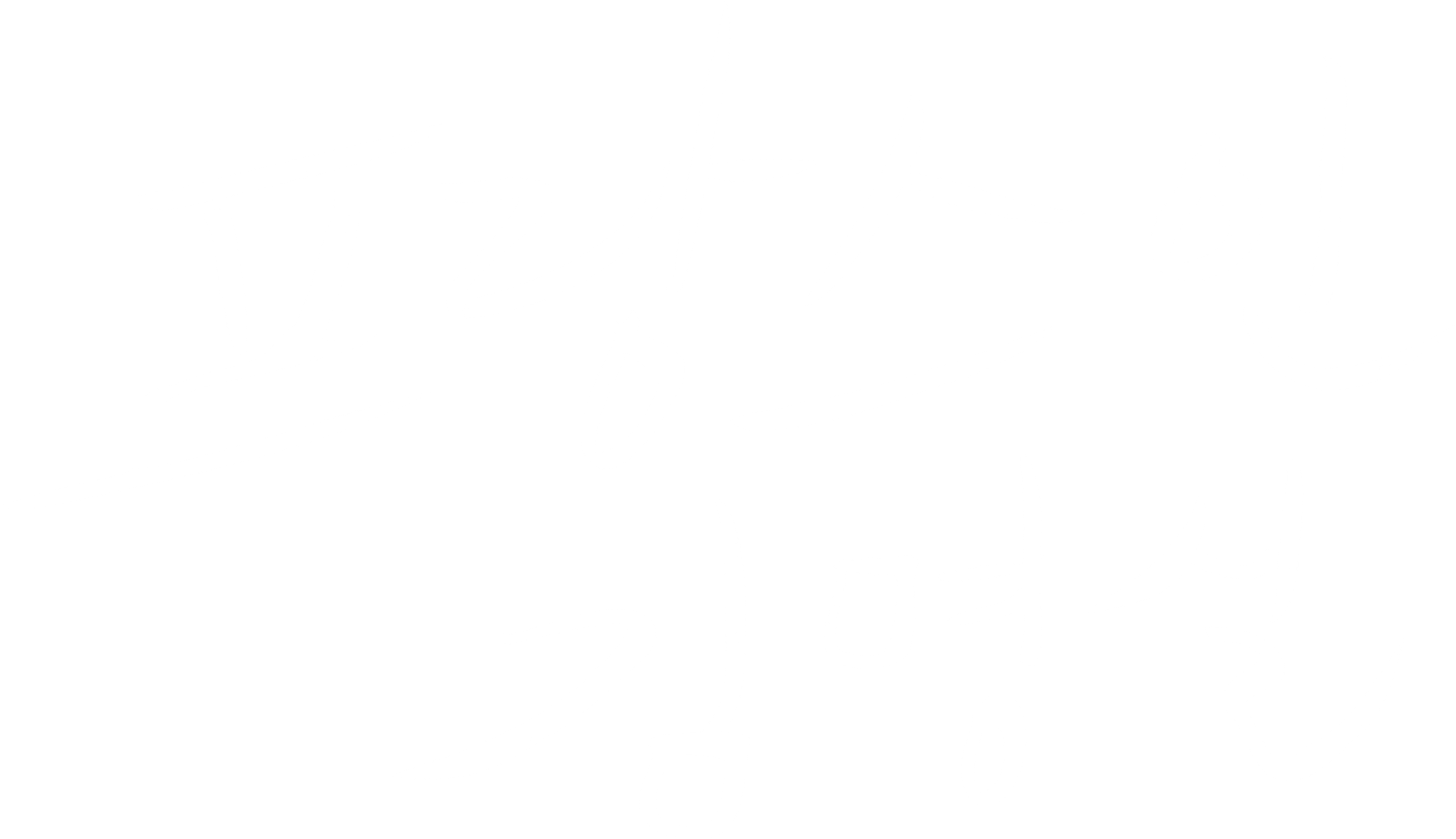 프랑스인 김명실