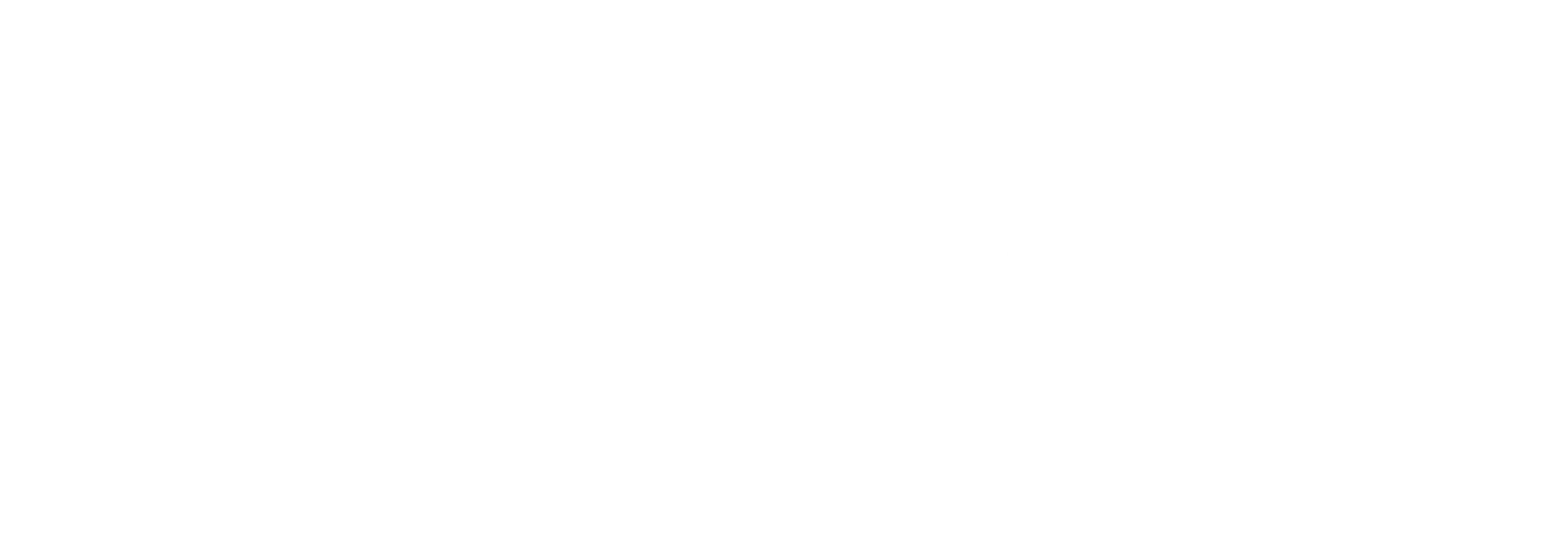 봉지총군: 낭만 자객과 성주