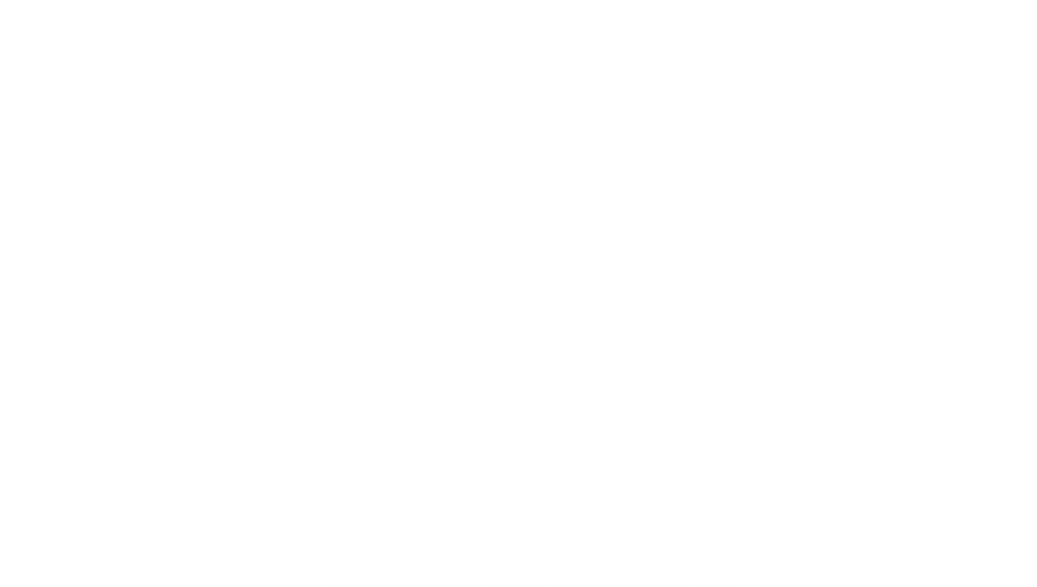 비르: 위대한 전사