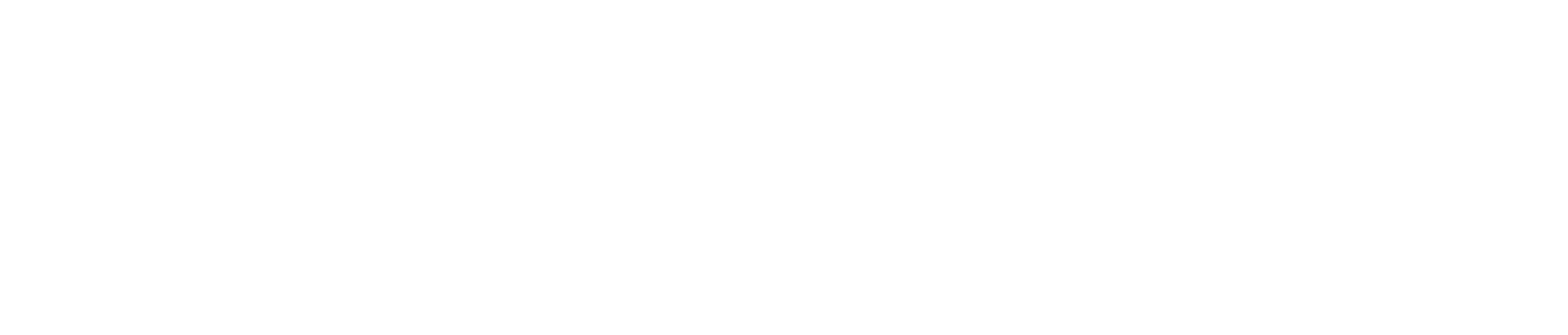 세월신투