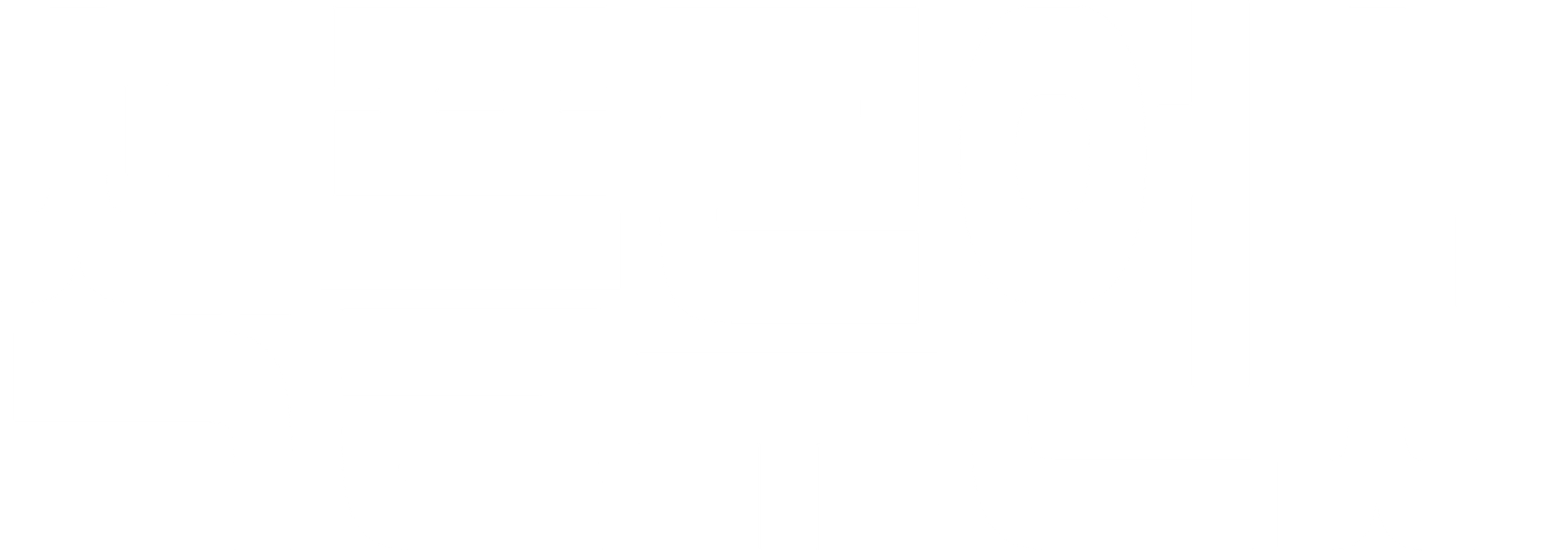 섹플루언서