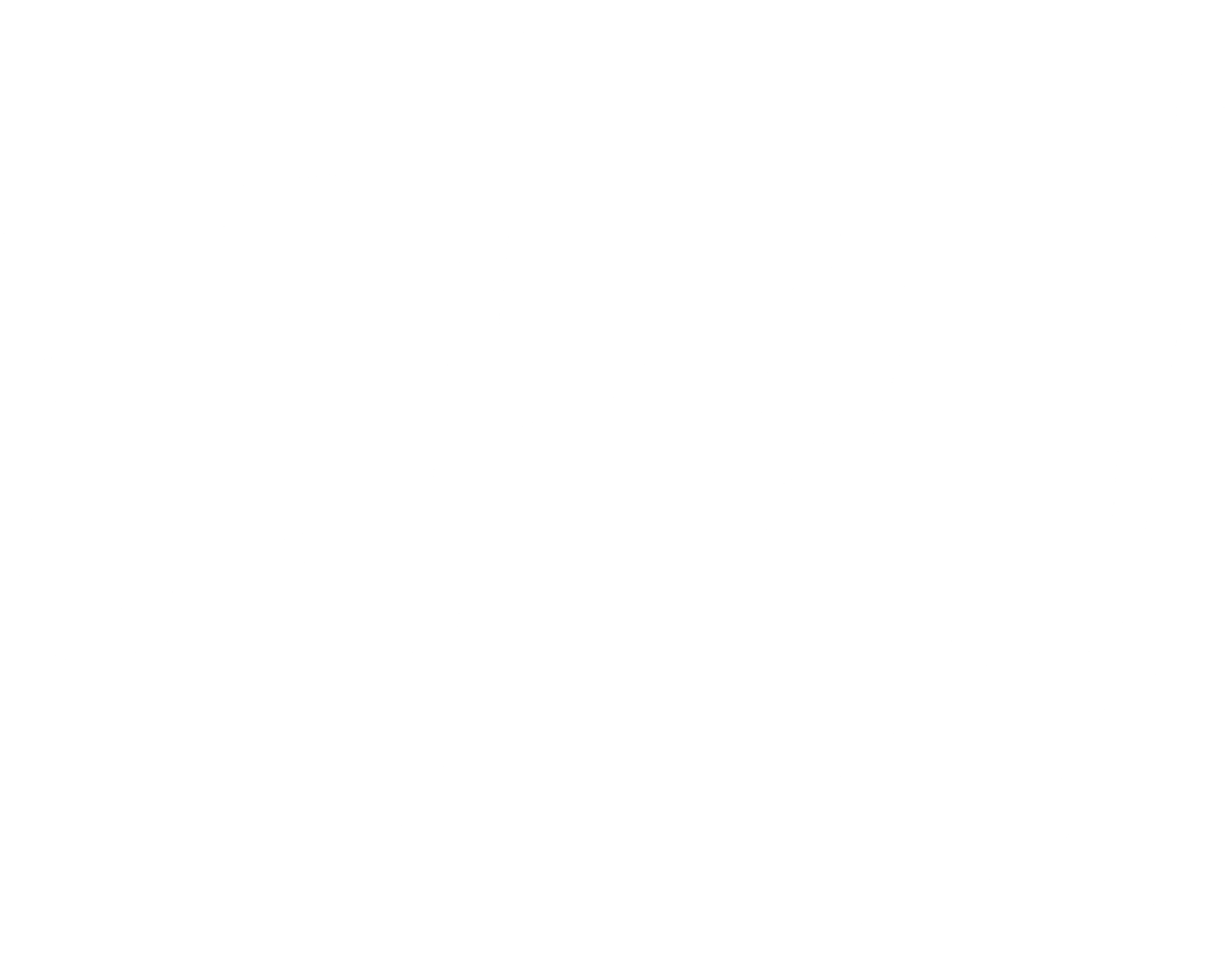 타임