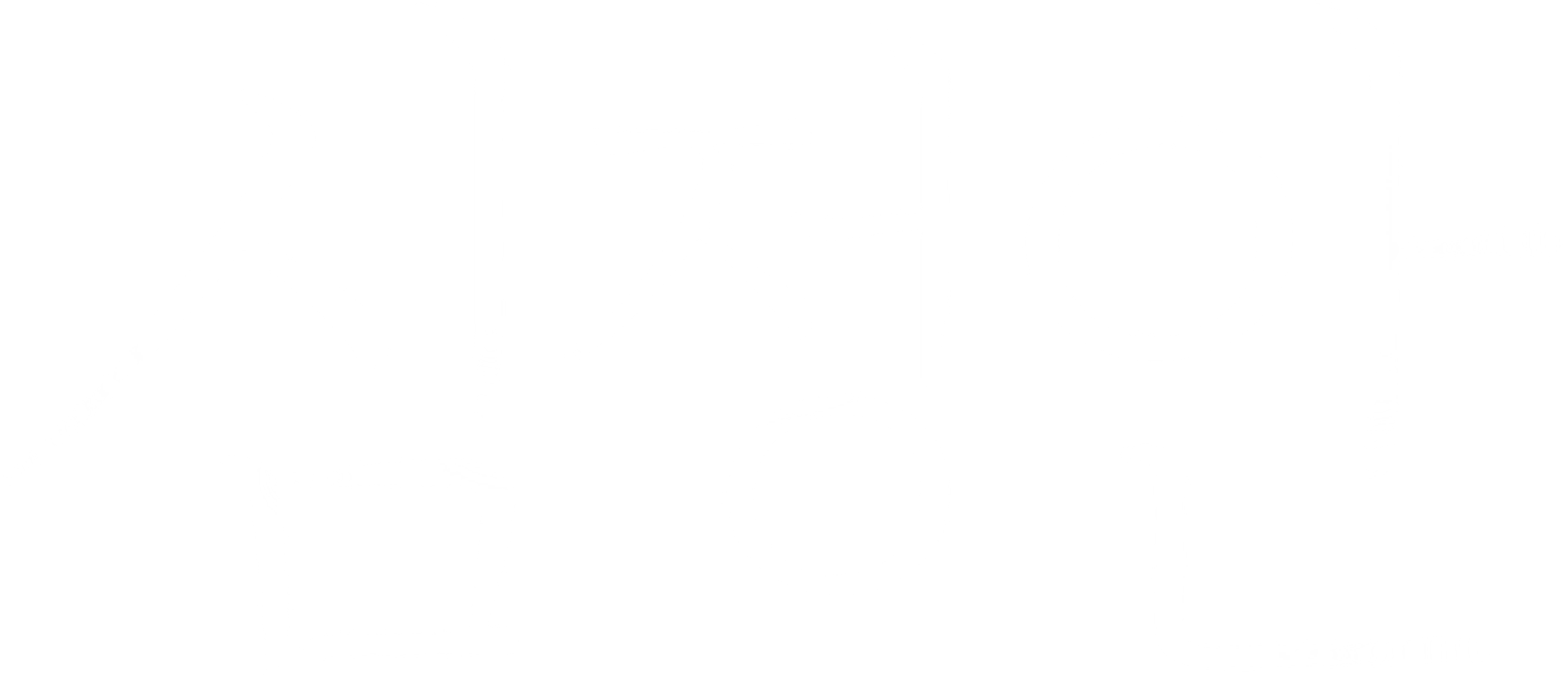 심정안