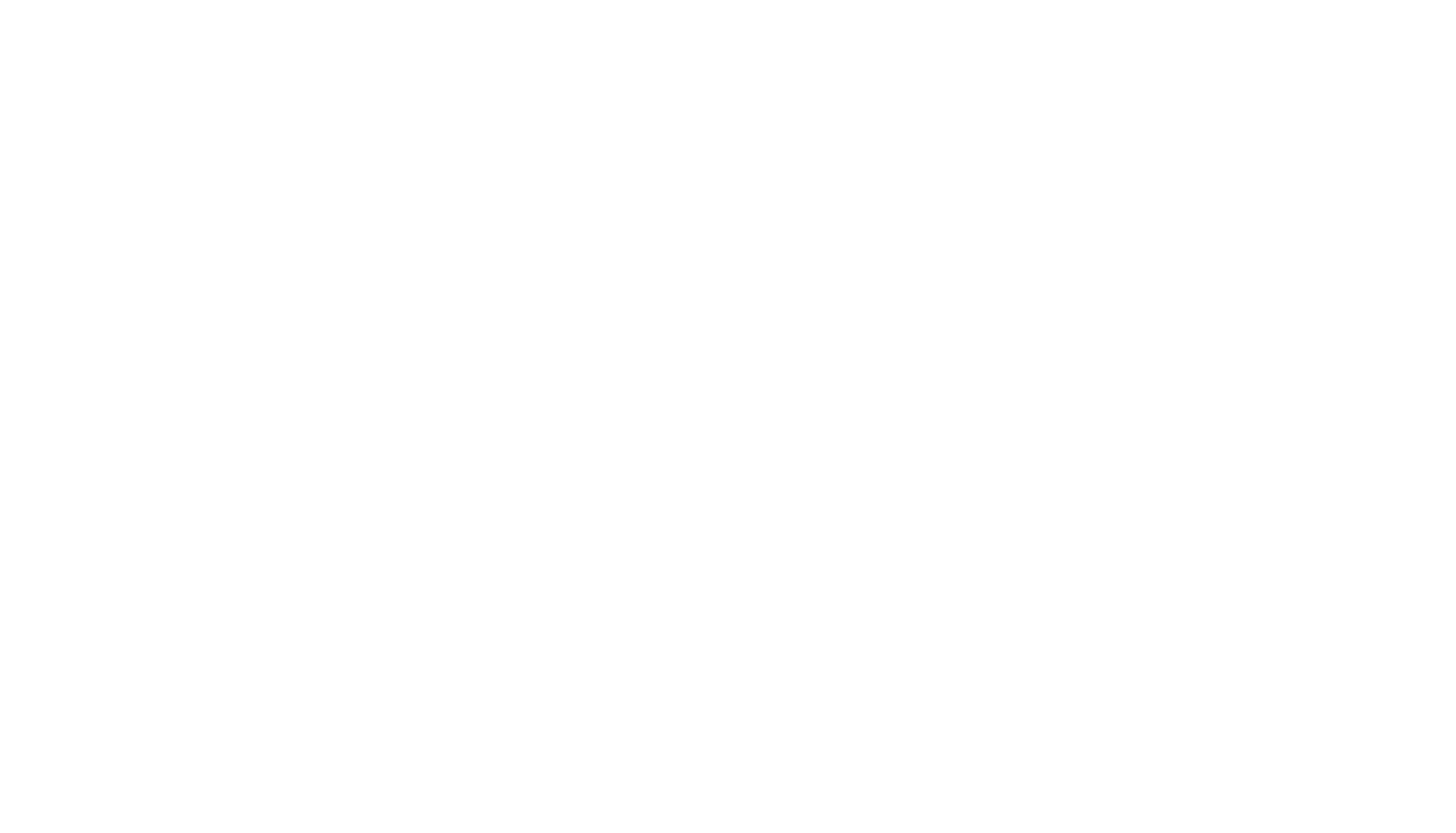 숏버스 감독행