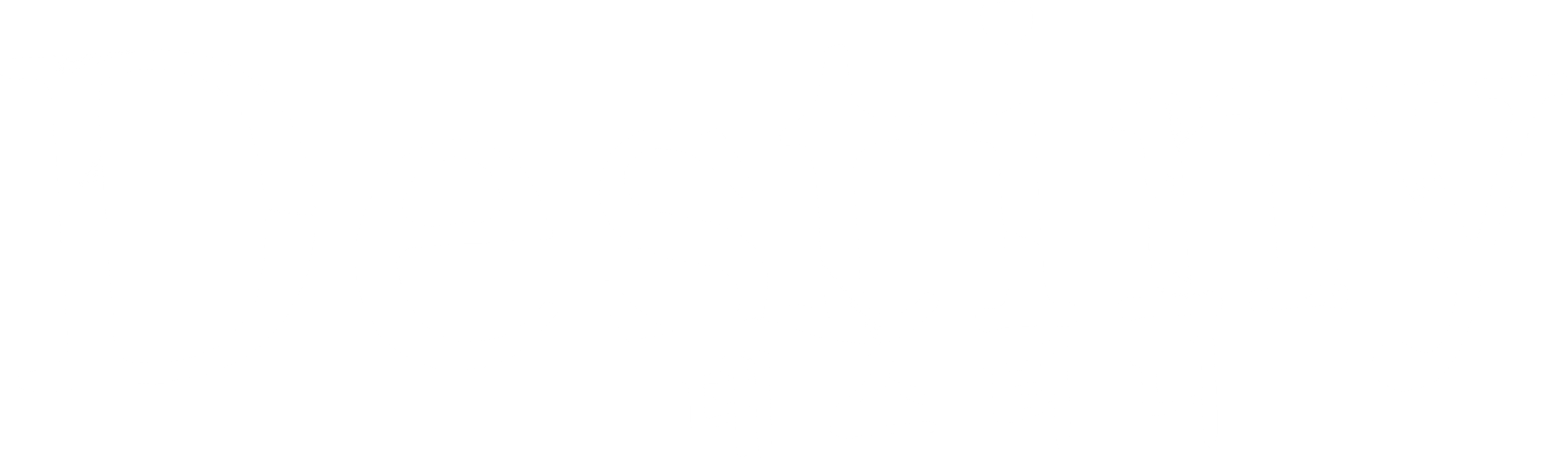 데스티니
