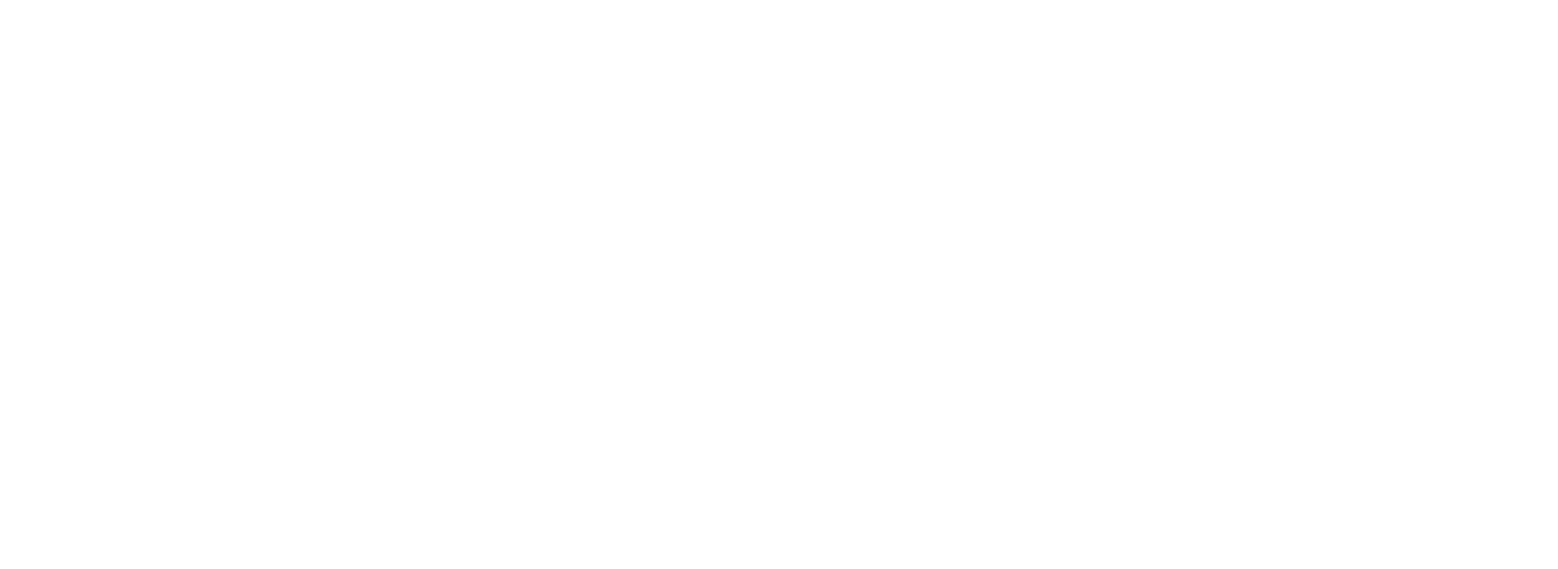 새벽의 모든