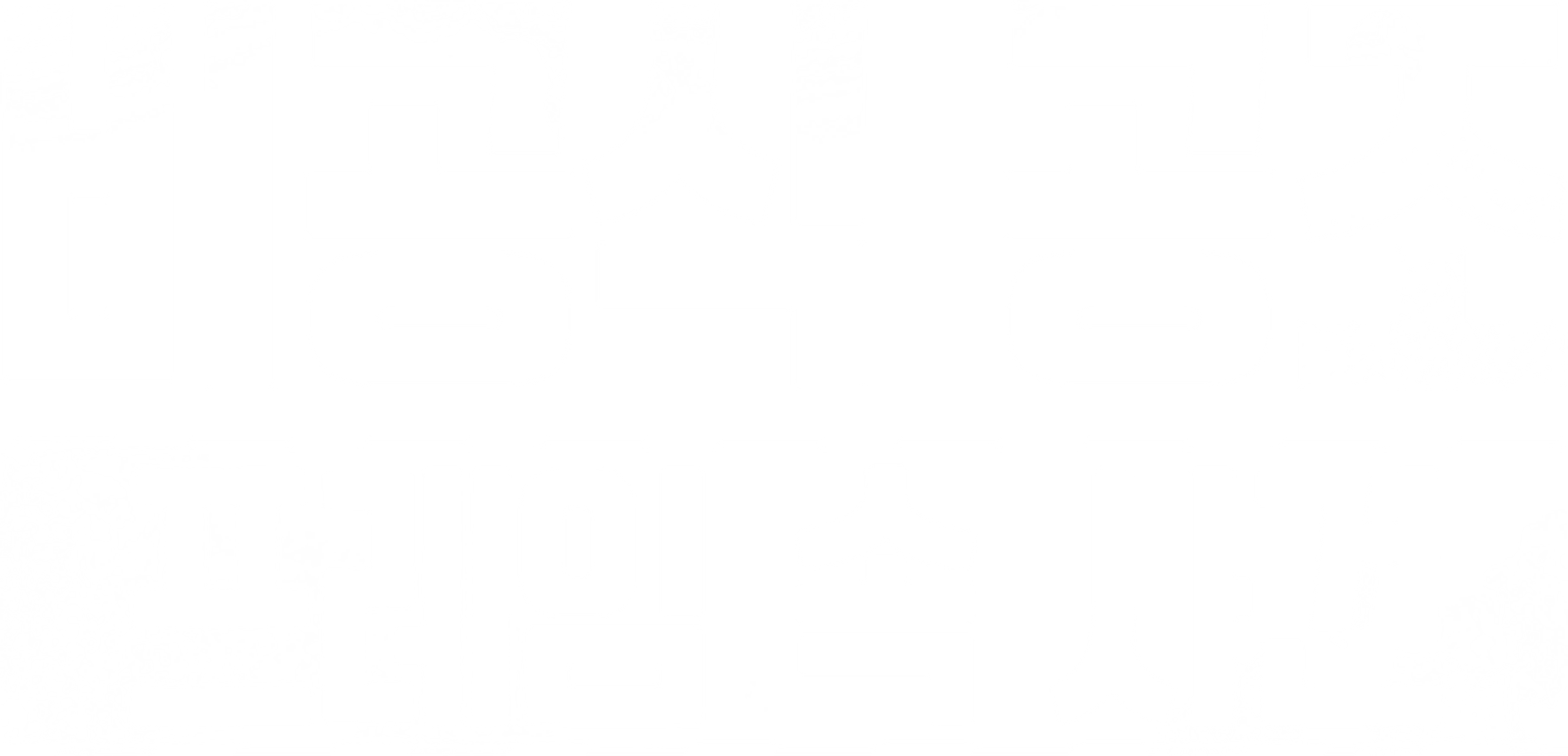 비공식 공조: 프레임 속 사건