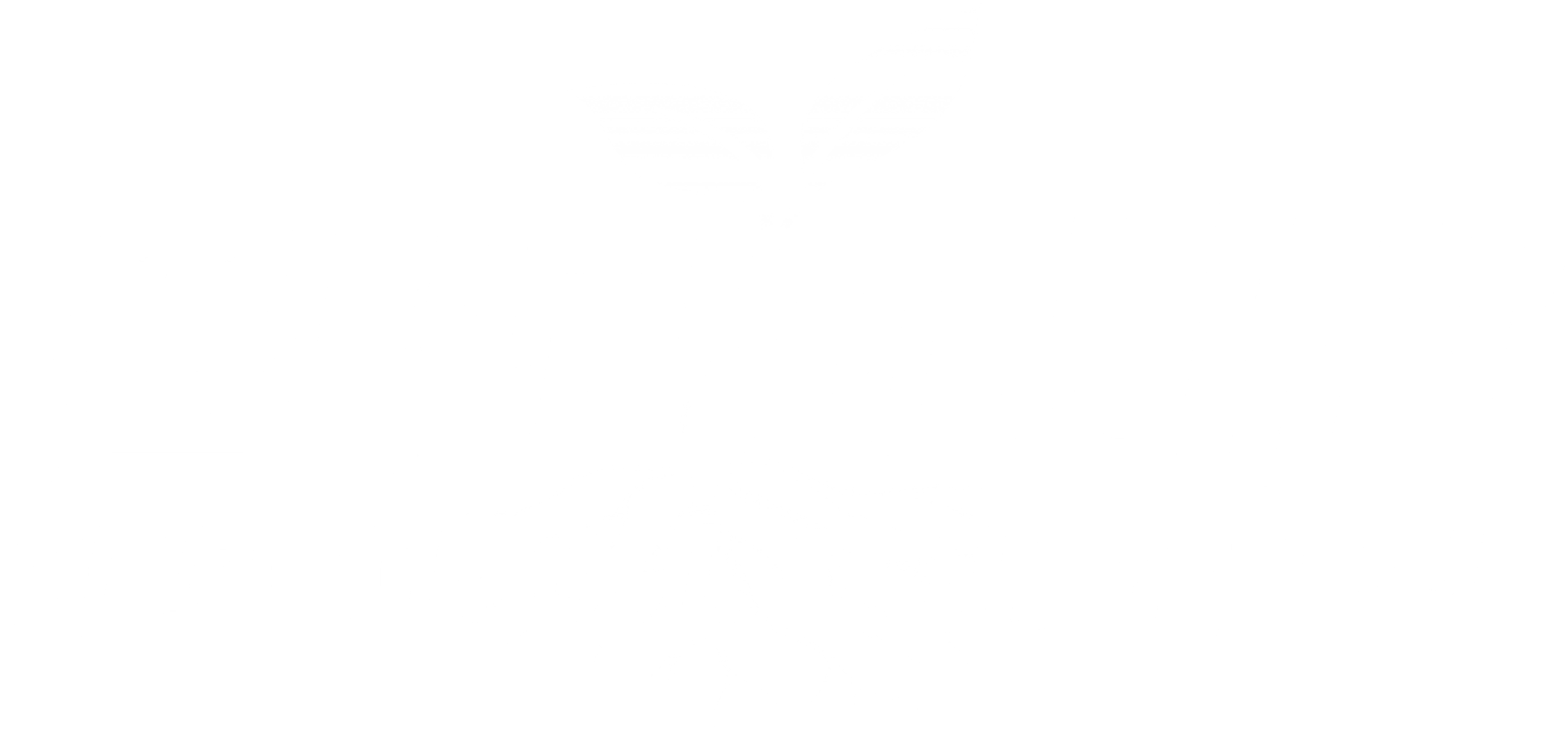 풀뿌리의 시간