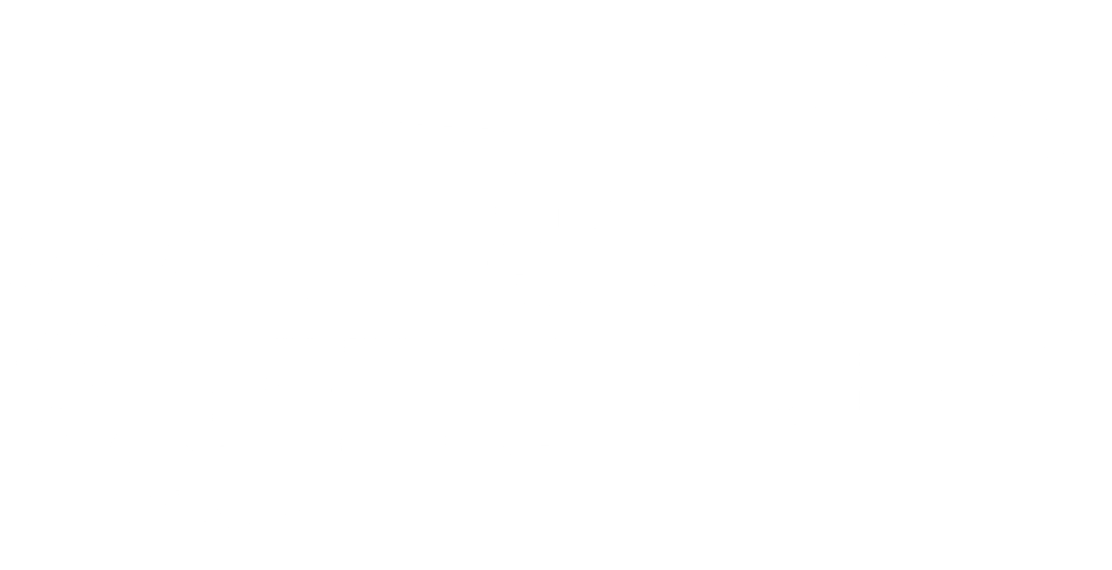 호모-아키비스트
