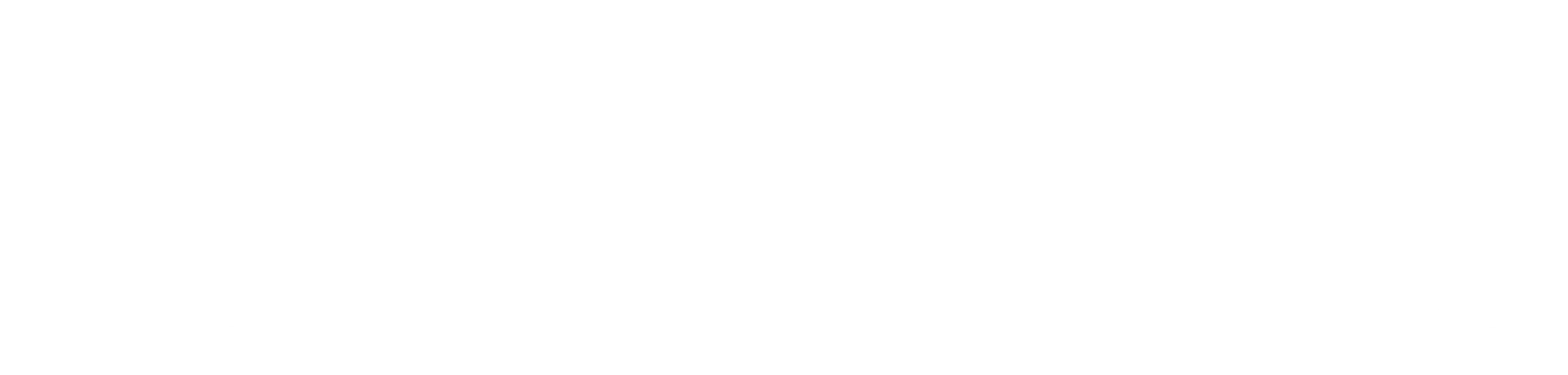 금지된 장난