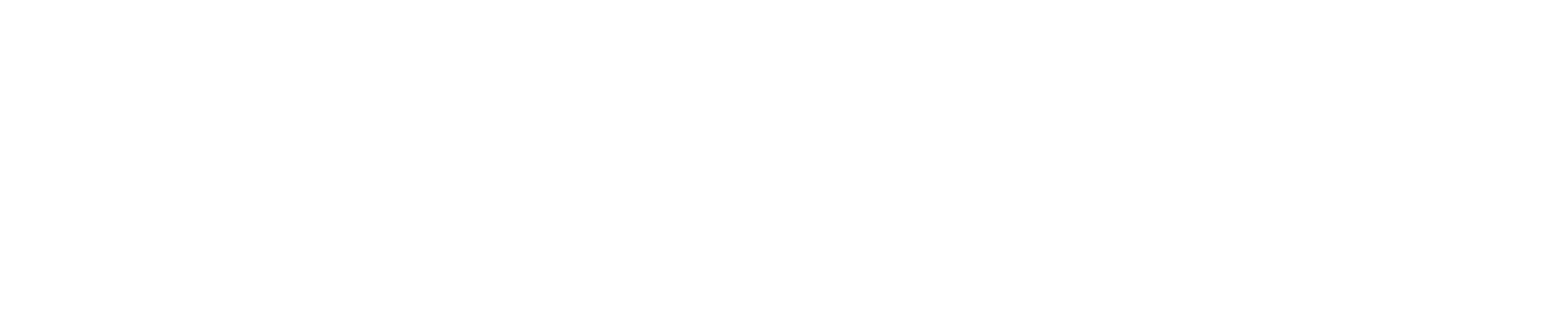 텍사스 라이징