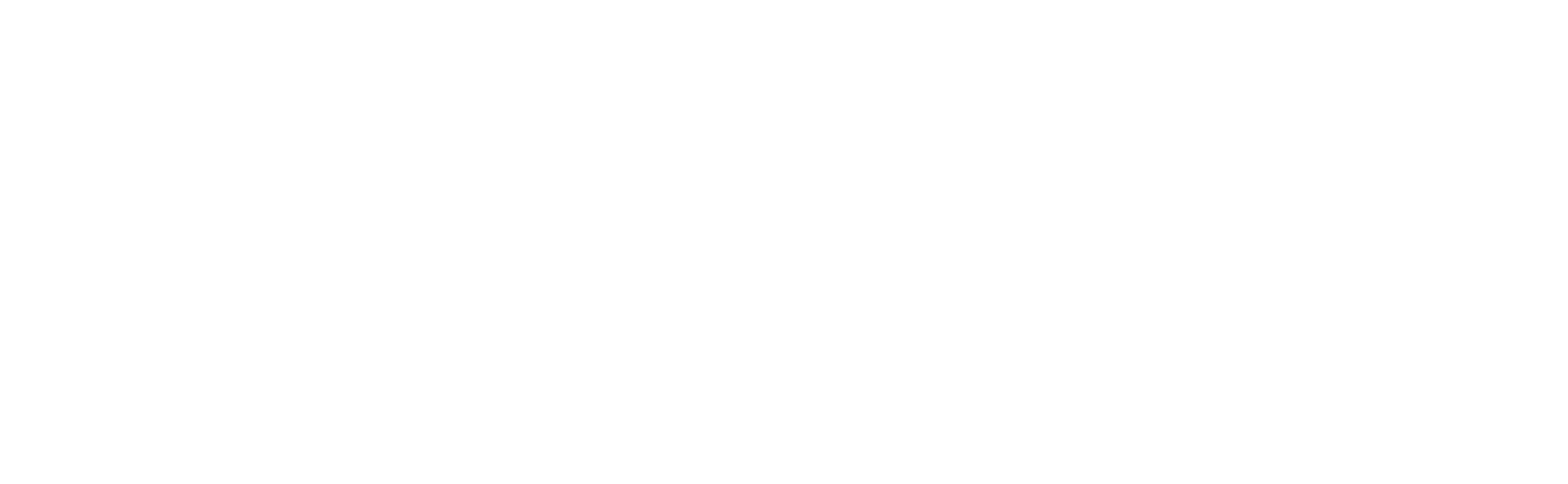 작전명: 제트스톰