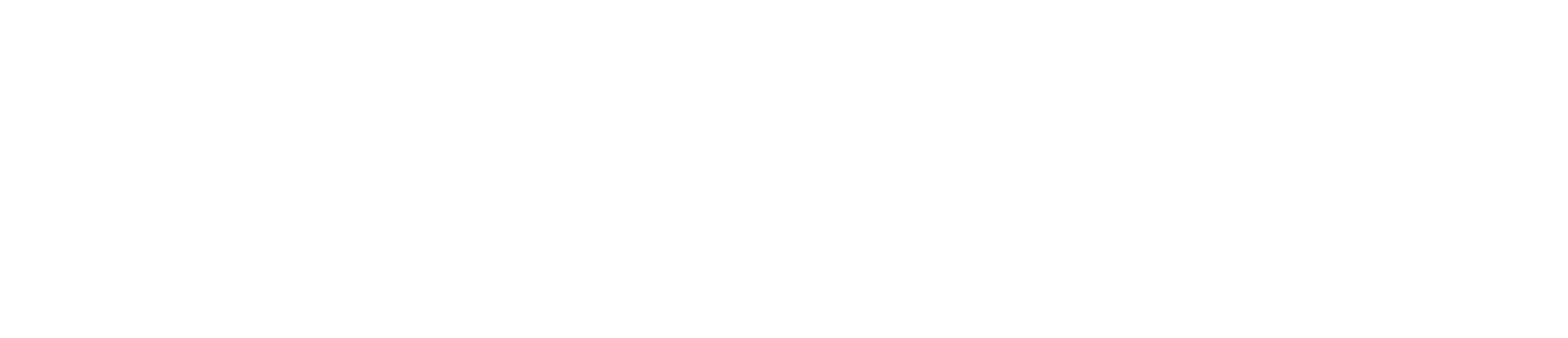 호스타일 보더