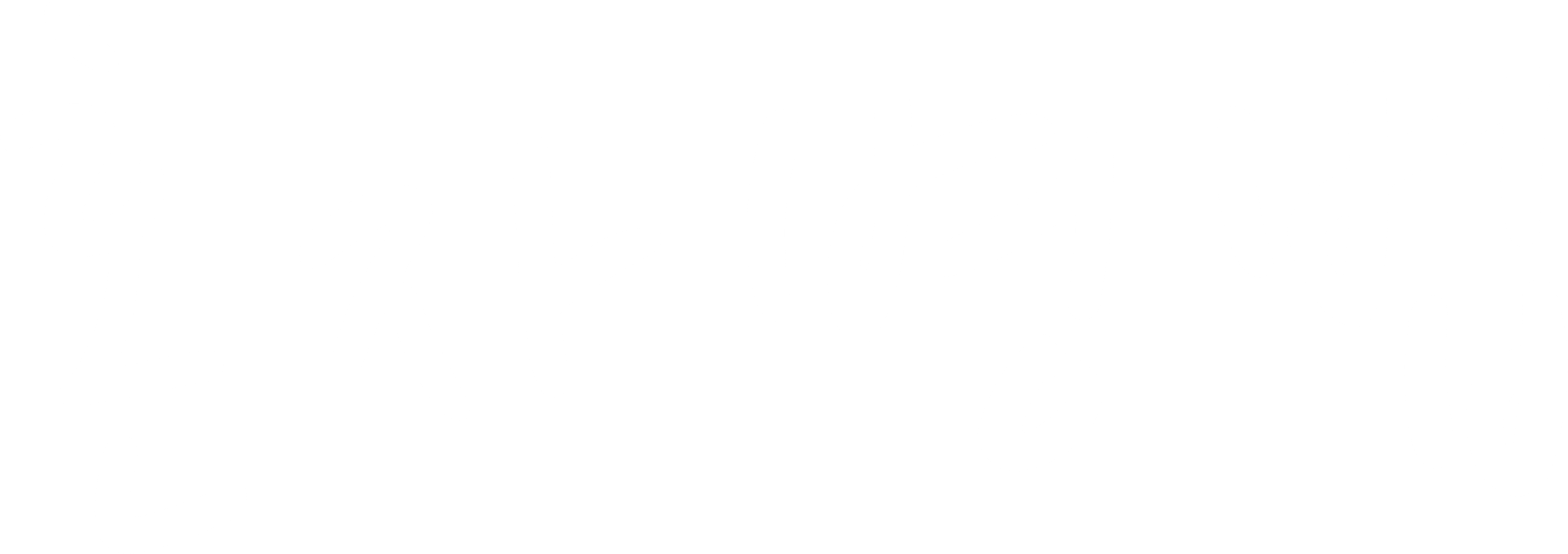 혼자병법