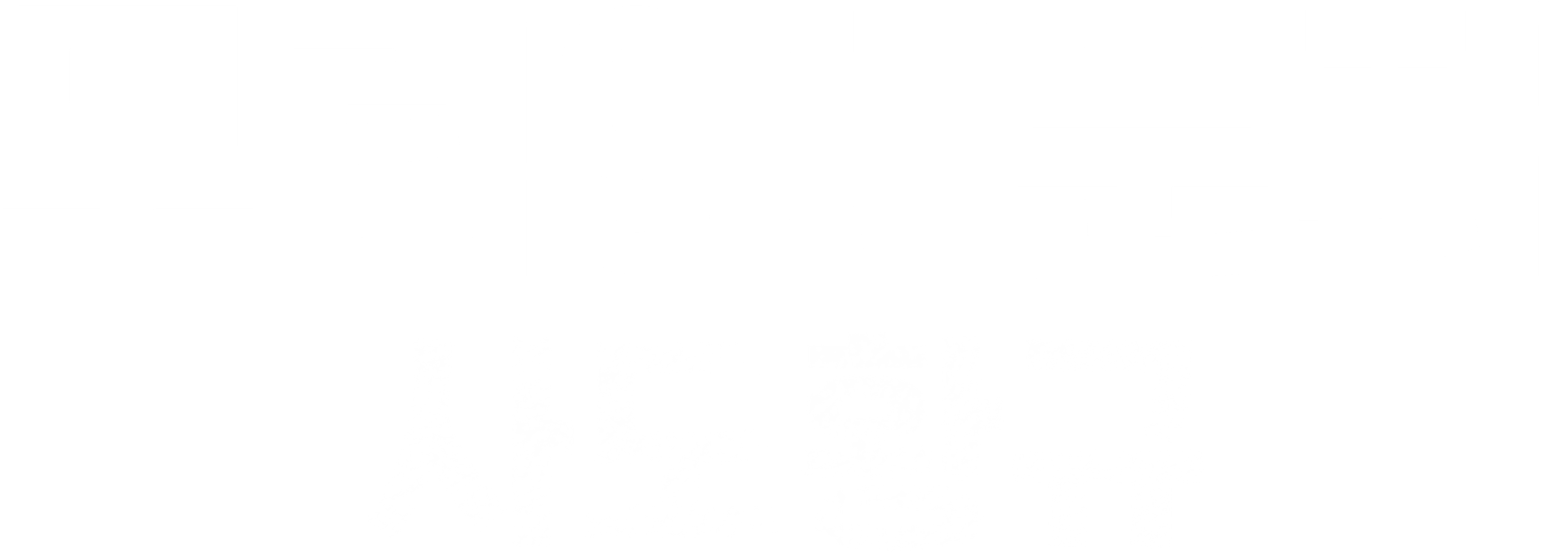 무림9대문파-사도황규