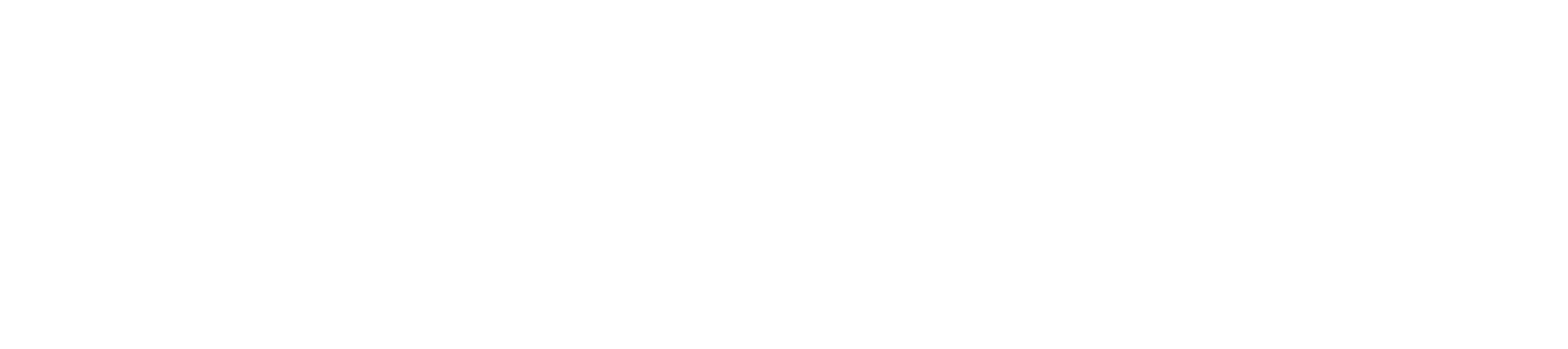 더 노비스