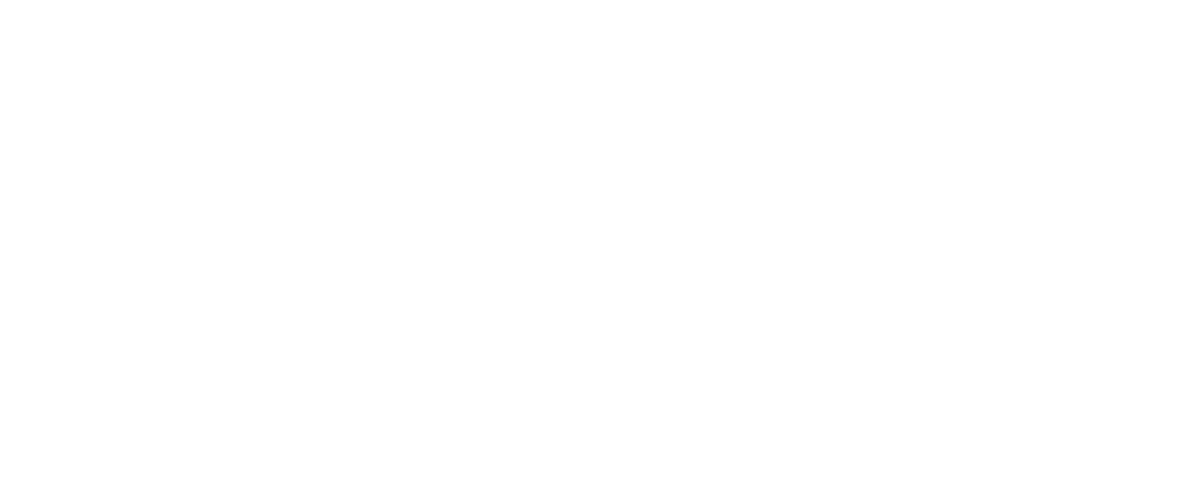 비밀의 미망인