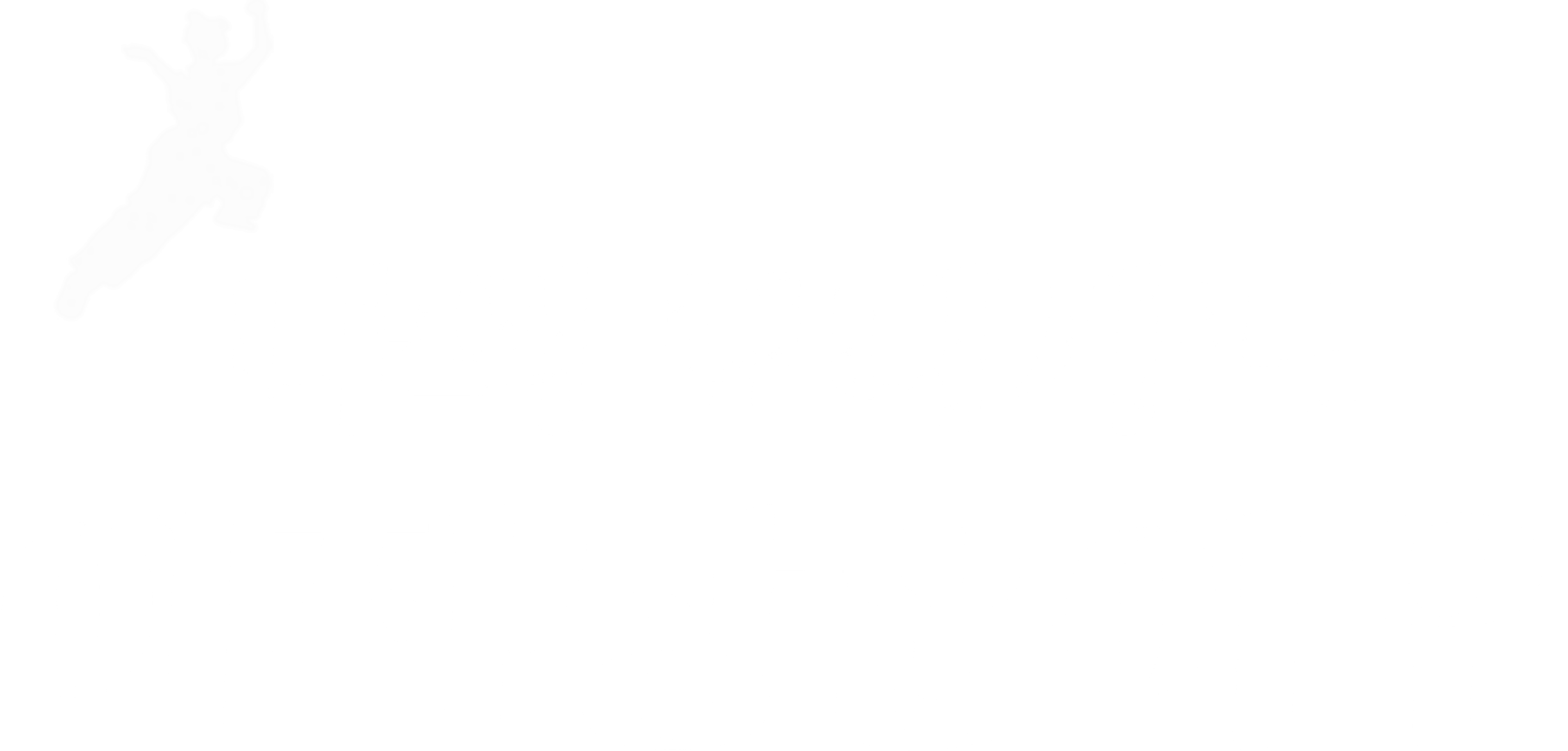 아적장문여우 : 나의 보디가드