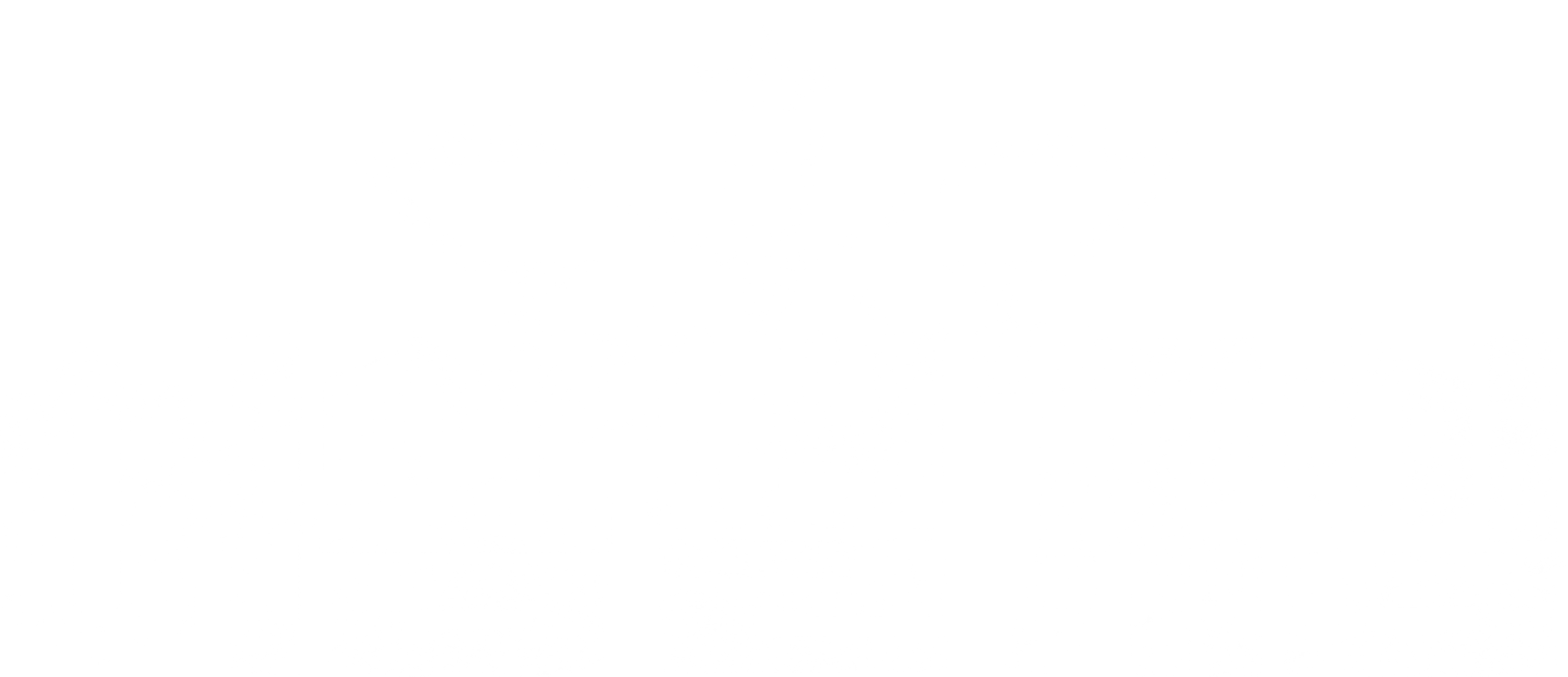 여왕벌 게임