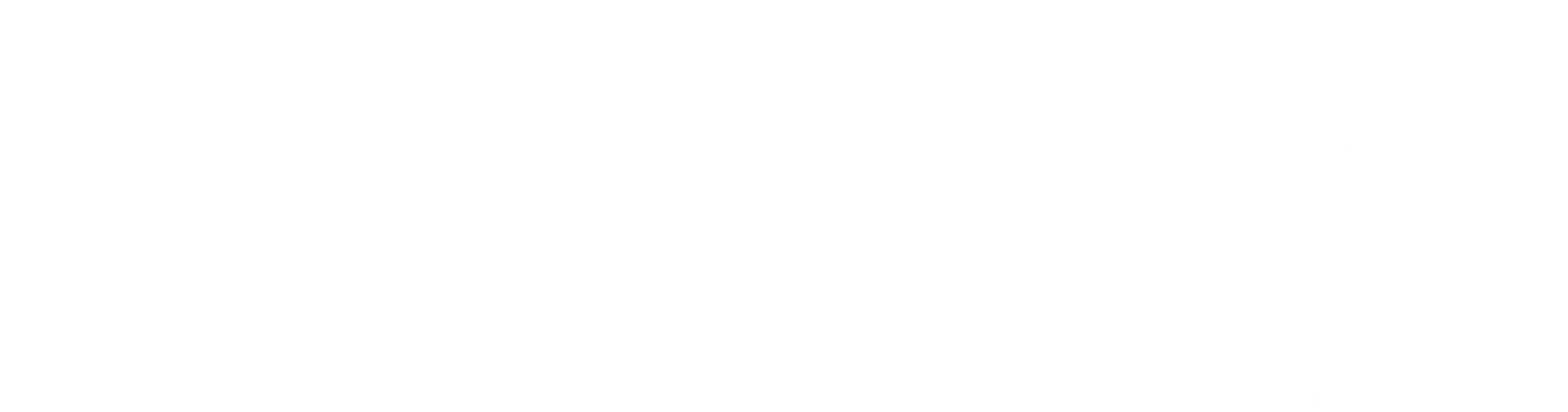 스나이퍼: 화이트 레이븐
