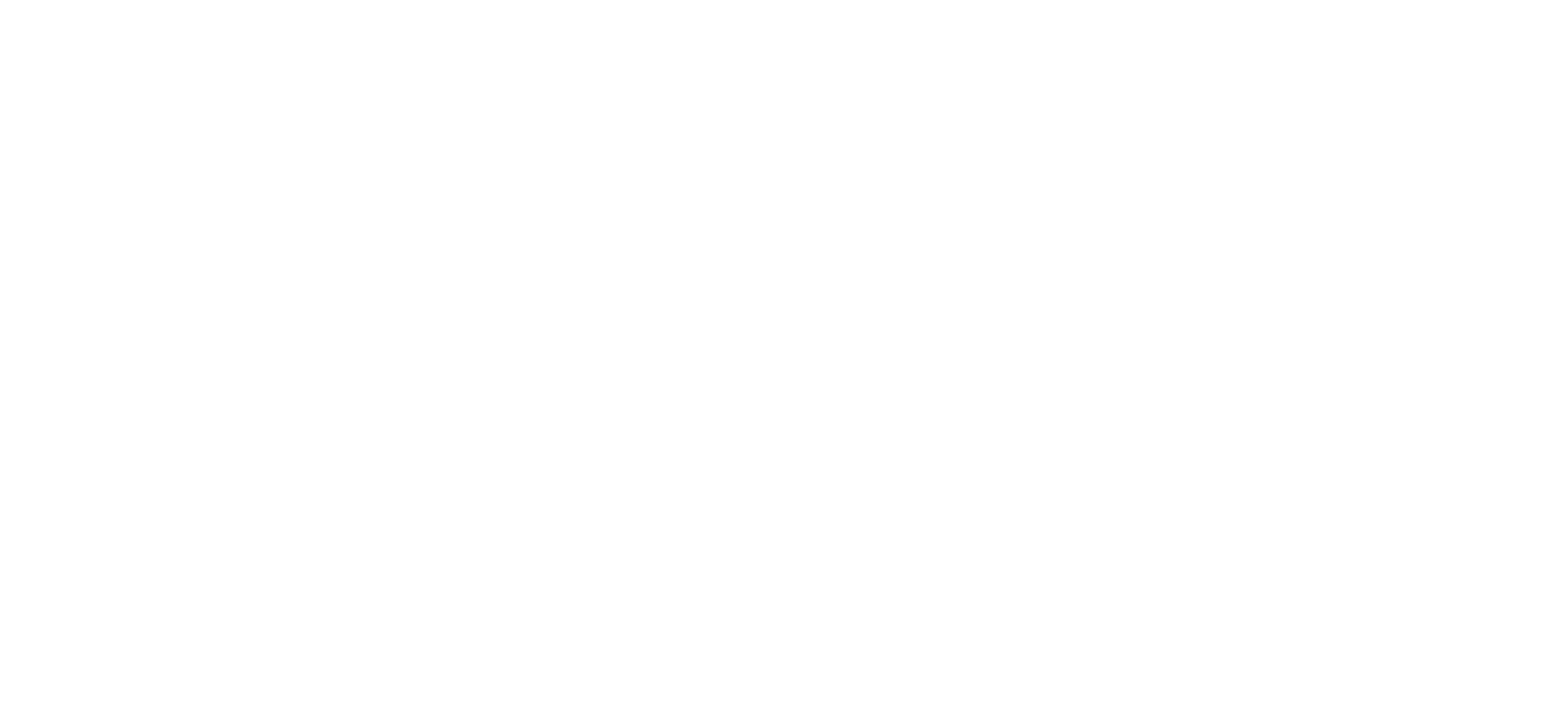 대장부