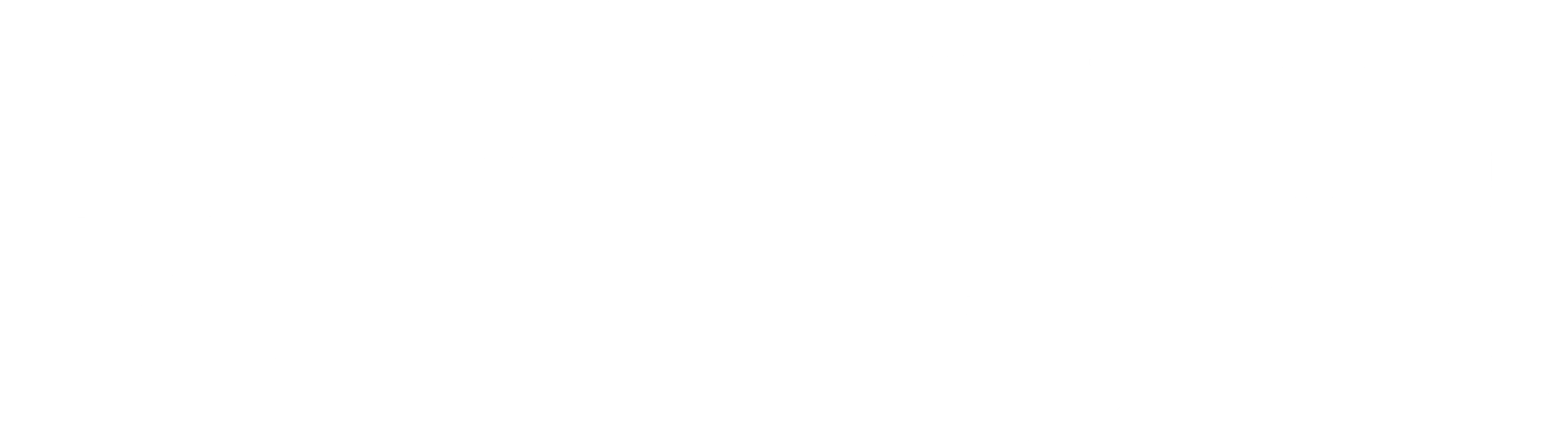 몽키 킹덤