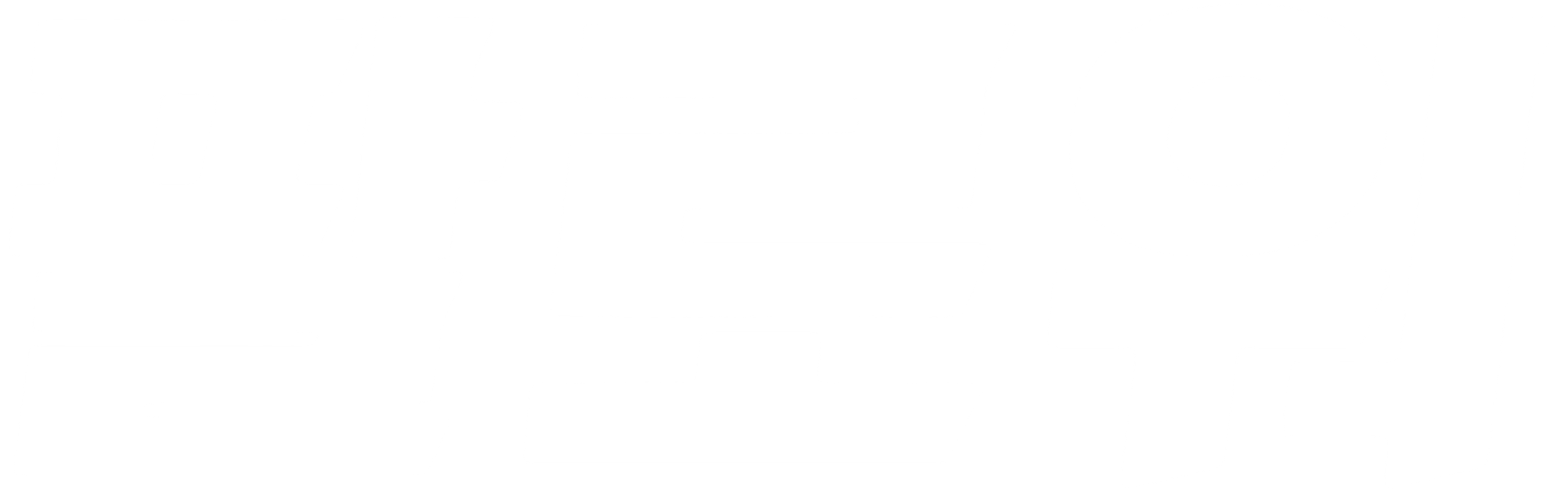 팔로워