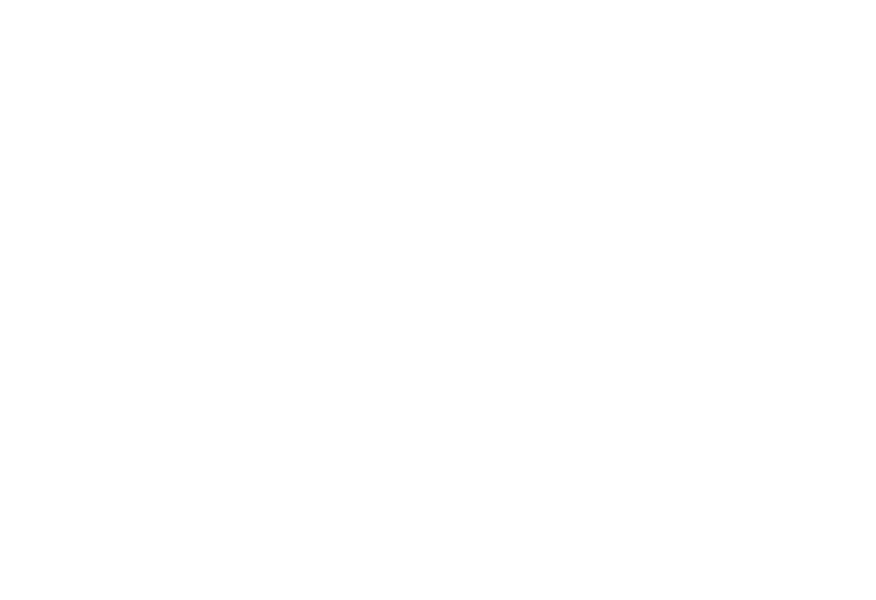 드래곤 길들이기 2