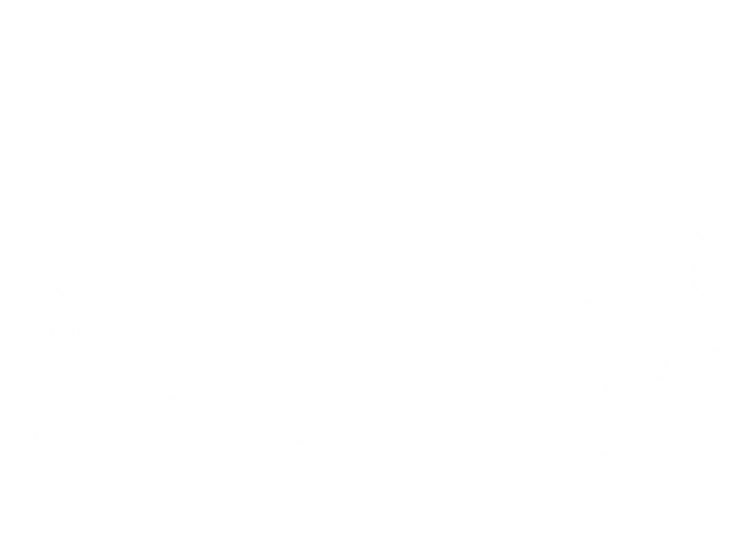 코카인 베어