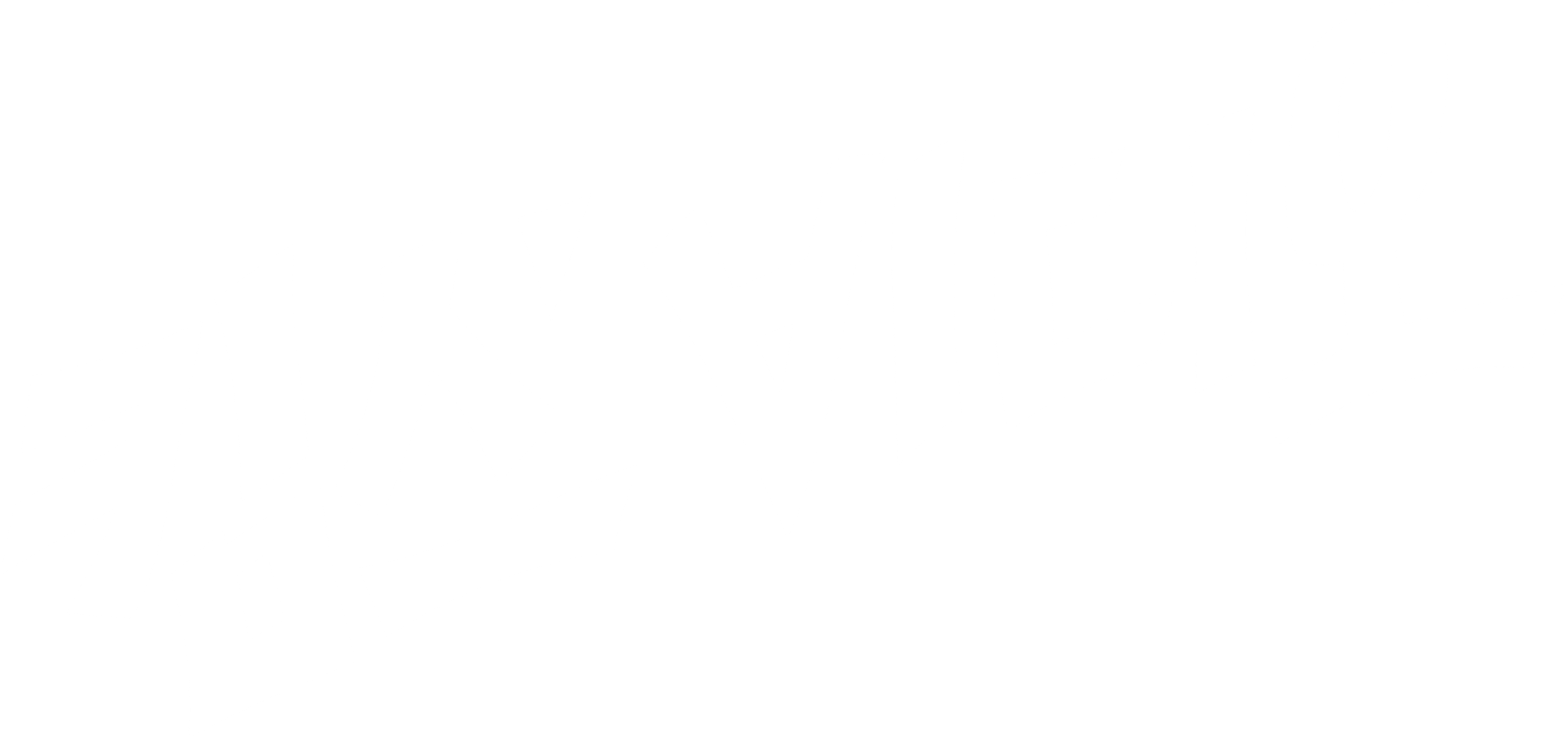 킴스비디오