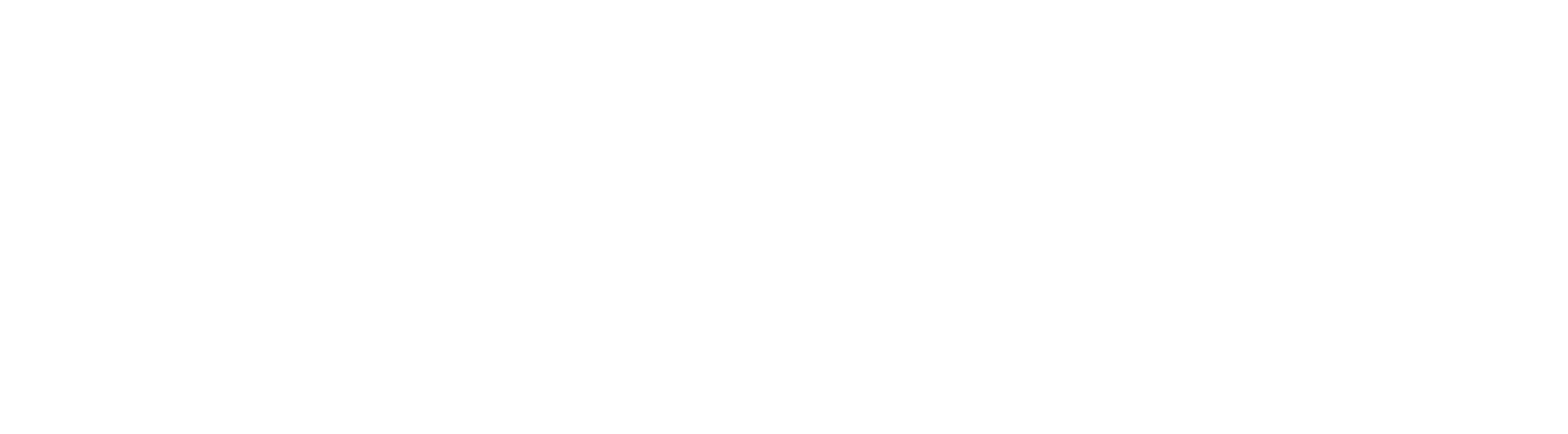 2만 종의 벌