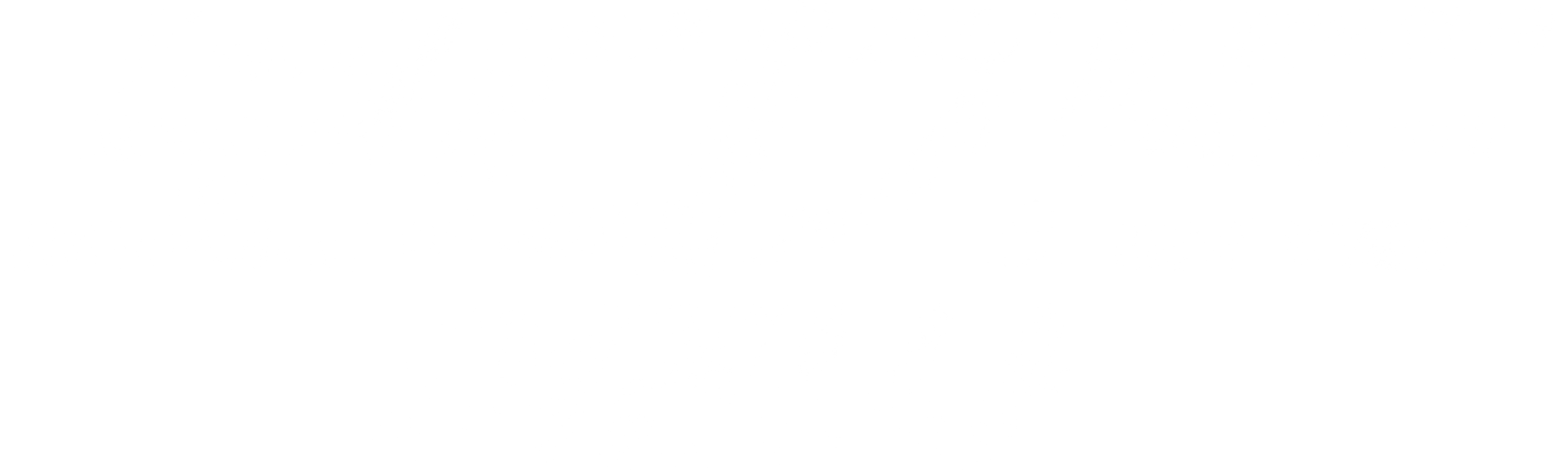 보디가드: 여전사