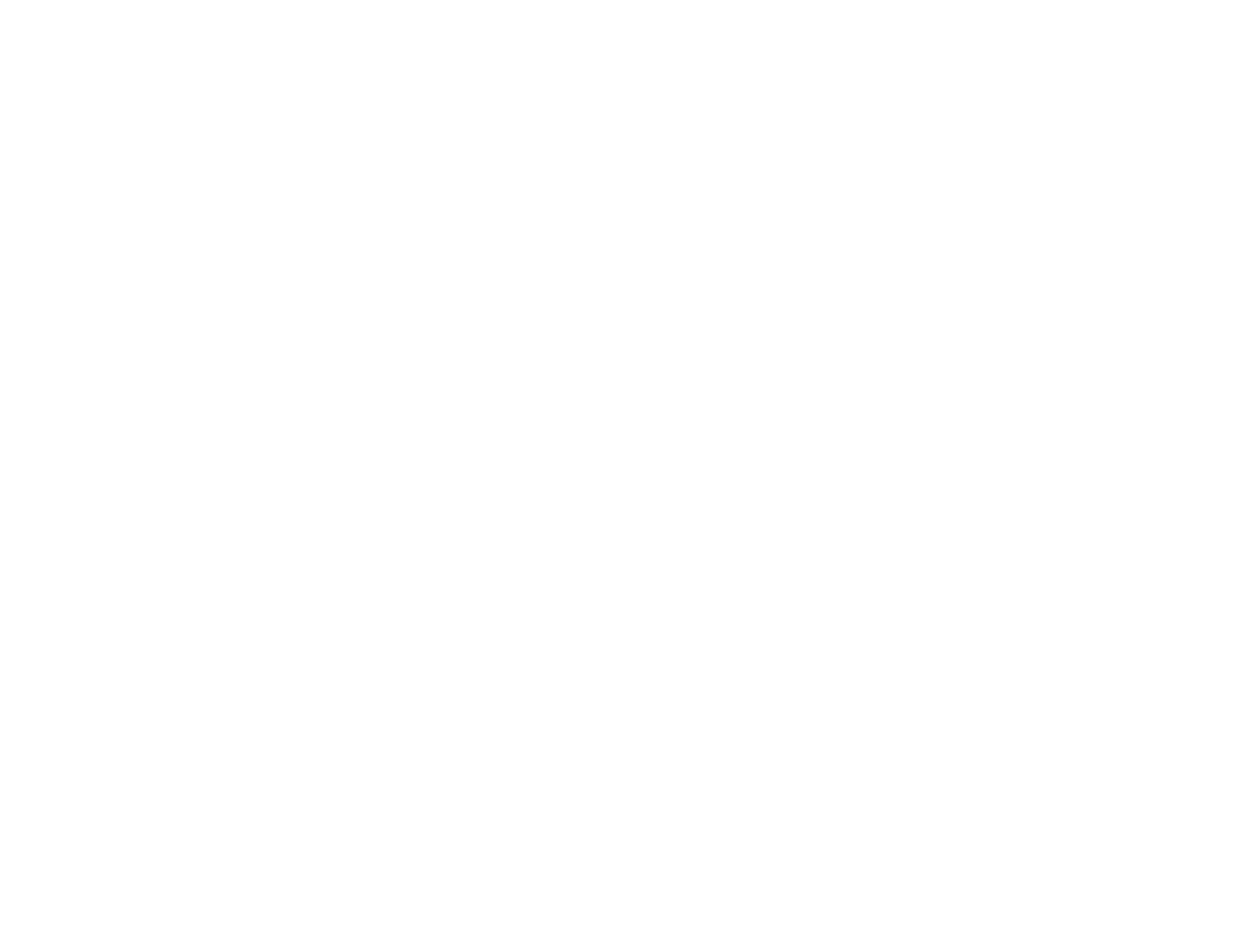 펭귄의 문제