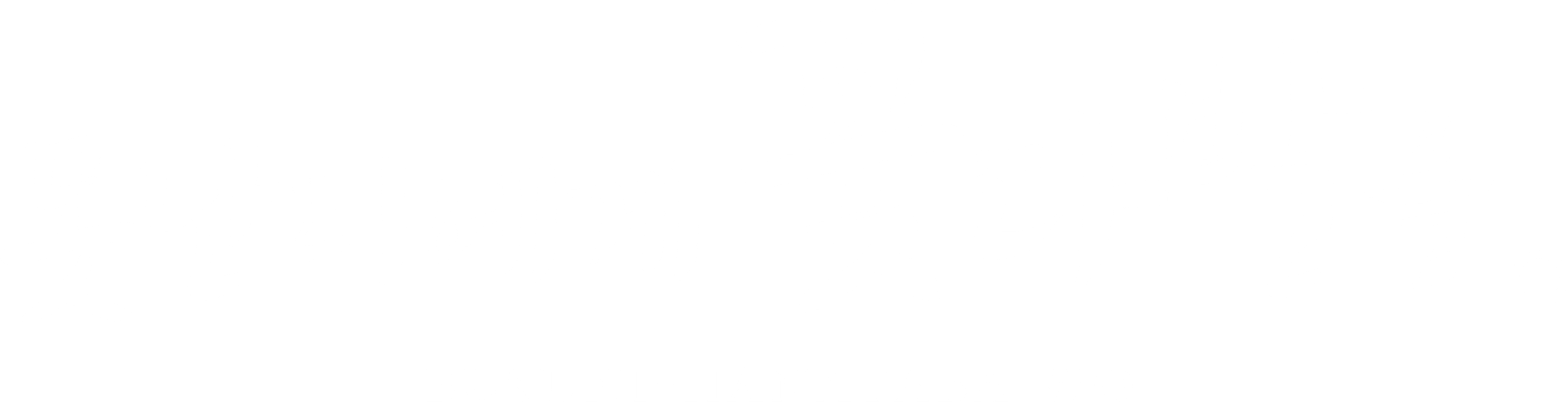 못난이에게 꽃다발을