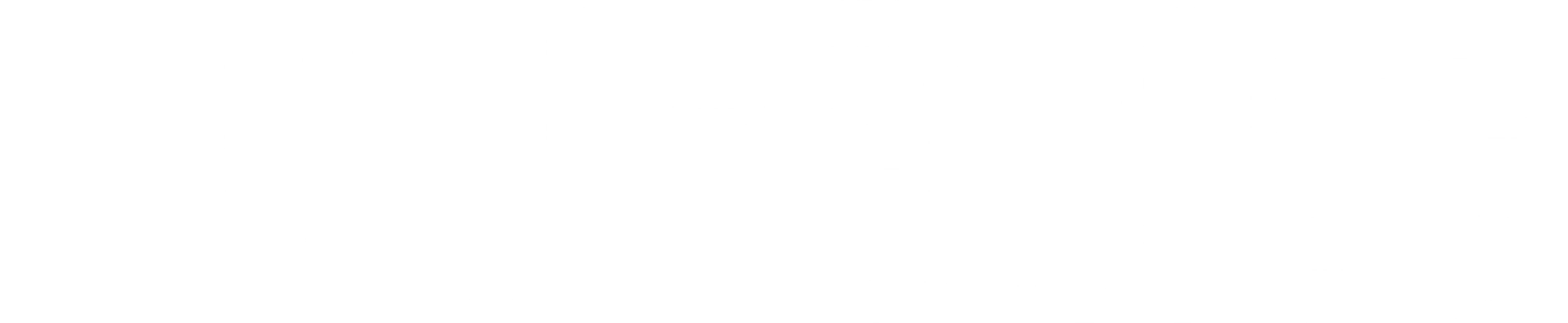 사장돌마트